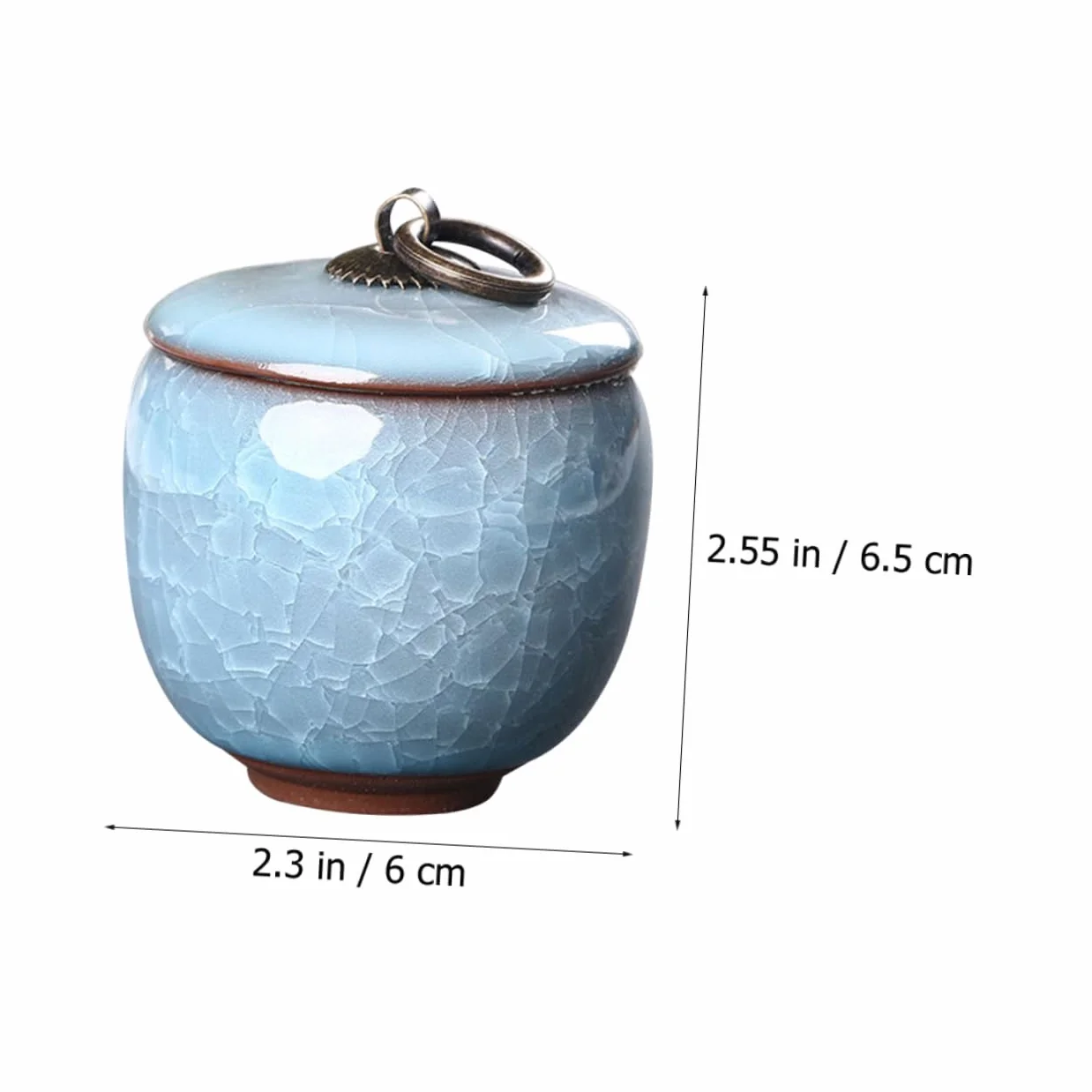 FRCOLOR Ceramiczna popielniczka dla zwierząt domowych, porcelanowy kufel na popiół, zamknięty pojemnik