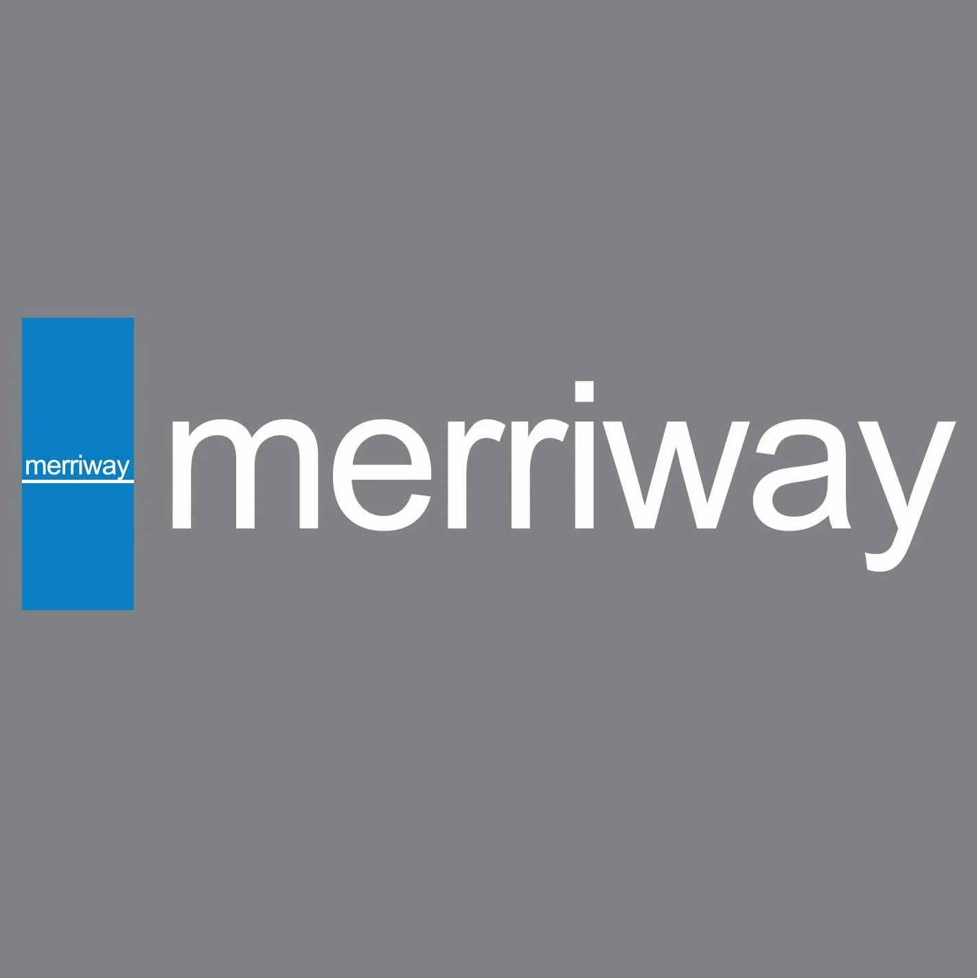 Merriway wełna stalowa ASW112/10/13 20 g