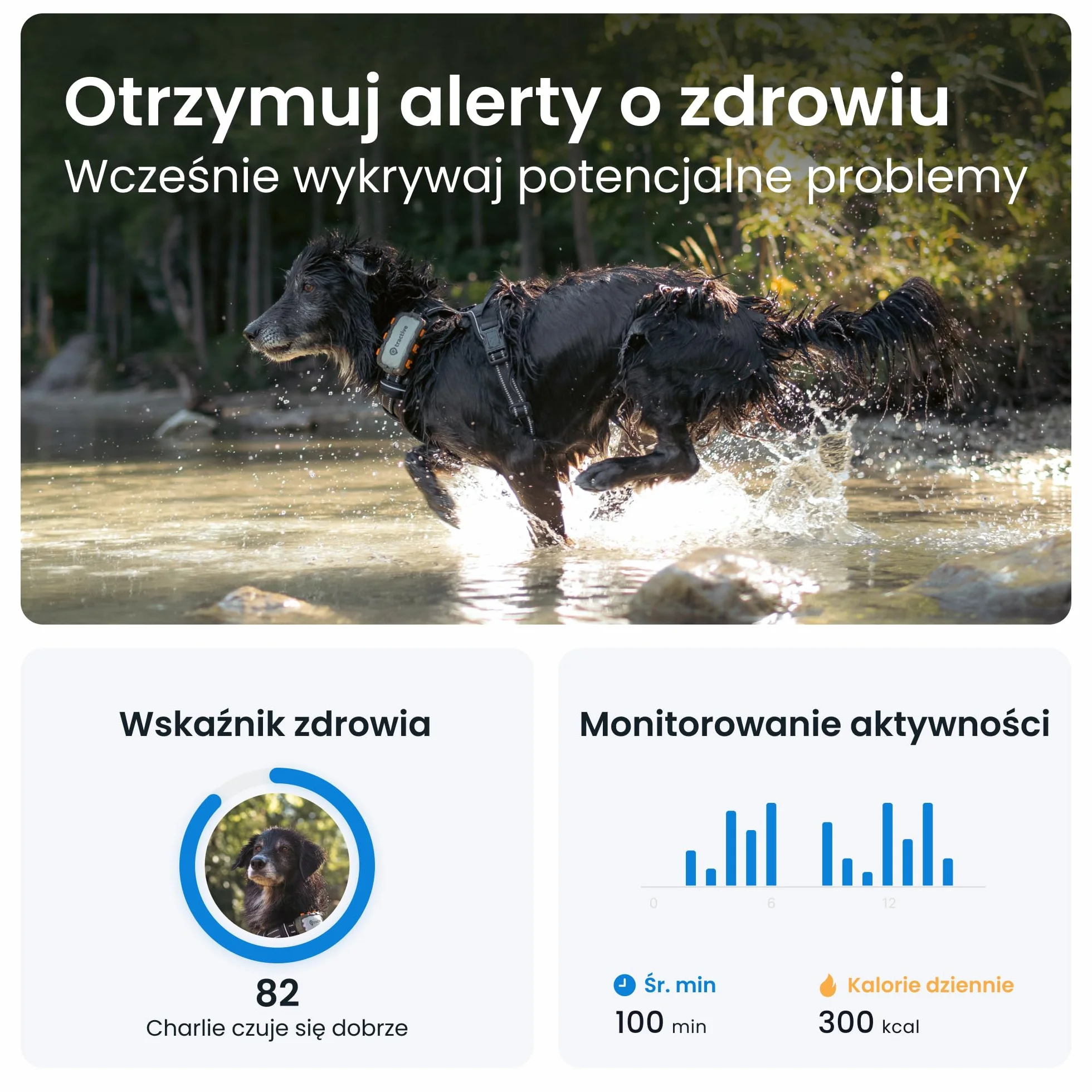 Tractive GPS XL Adventure — Lokalizator dla psa, Obudowa z włókna szklanego odporna na ugryzienia, Do miesiąca działania baterii, Śledzenie pozycji w czasie rzeczywistym na całym świecie