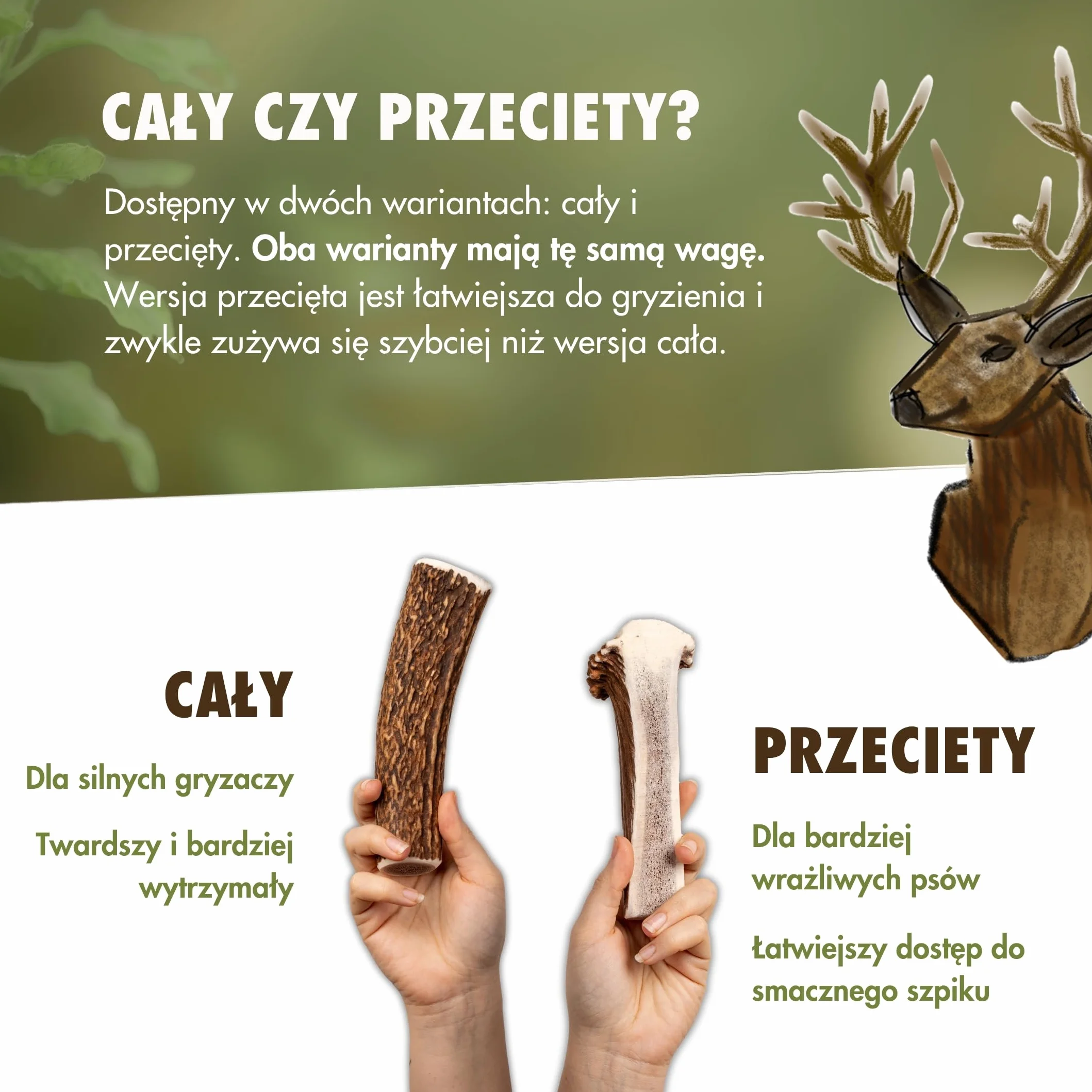 FOURLEGS® Przysmaki dla Psa, Poroże Jelenia 100% Naturalny Gryzak - Rozmiar M