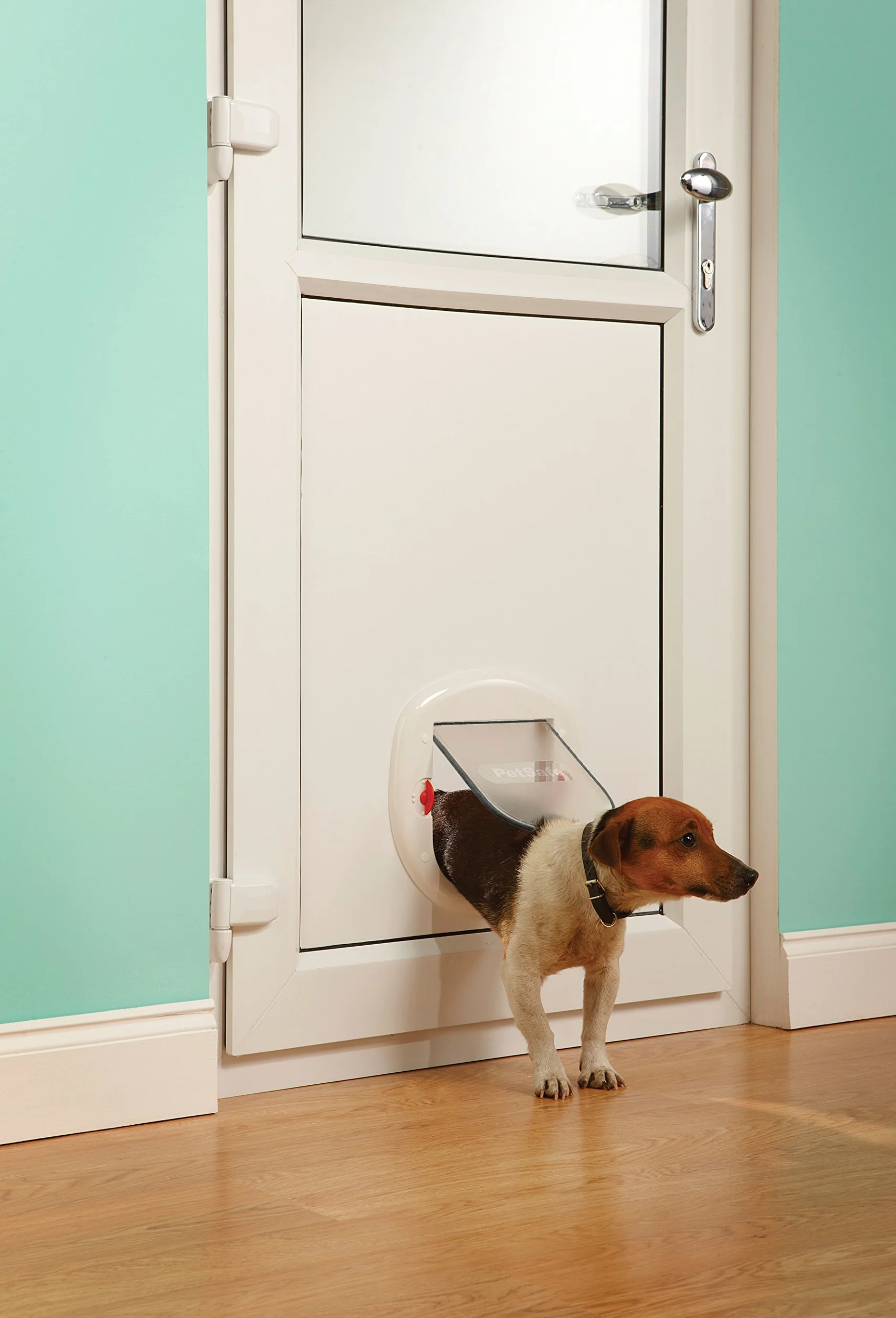 PetSafe Staywell 280 drzwi dla psów, białe