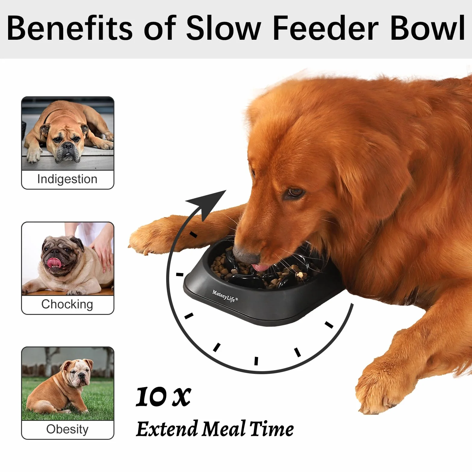 Mateeylife Karmnik dla Psa, Karmnik Antyprzyjadłowy dla Średnich i Dużych Psów, Karmnik do Wolnego Jedzenia Antyprzyjadłowy, Średni 1 Sztuka