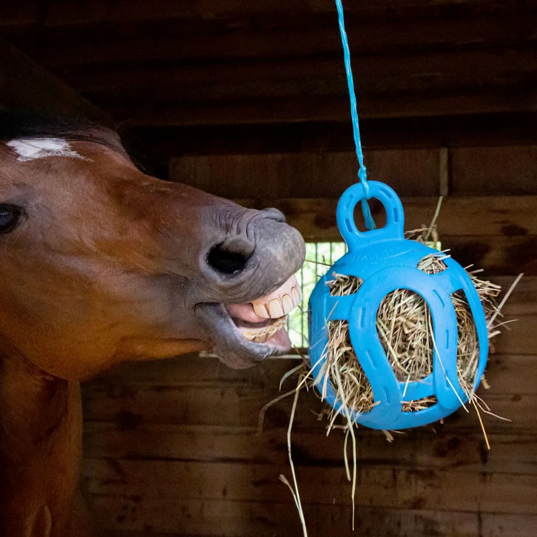 Horsemen's Pride Jolly Hay Ball Stall, zabawka dla koni, niebieska