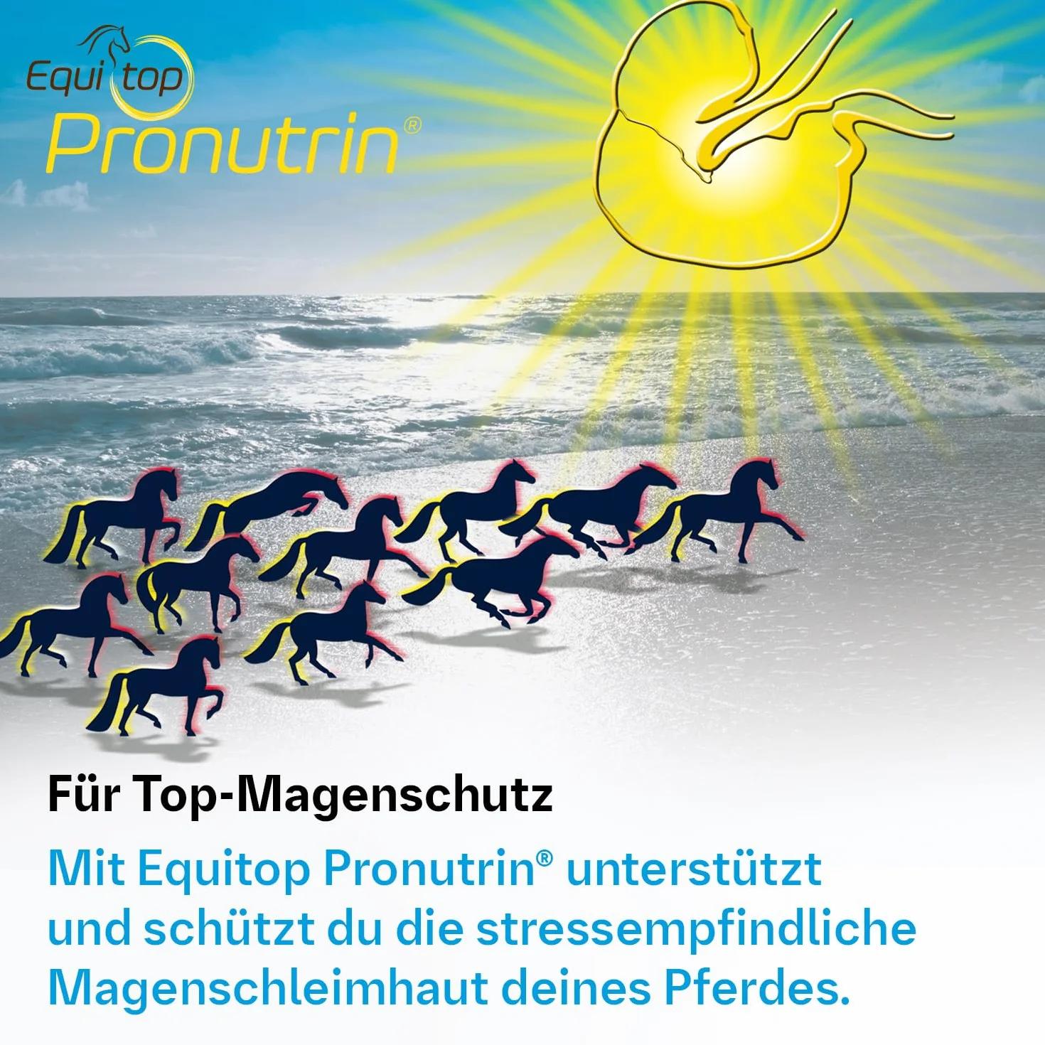 EQUITOP Pronutrin 3,5 kg