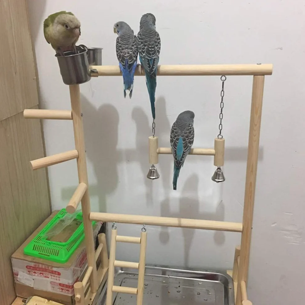 Plac zabaw dla papugi, ptaszki, papugi, playstand, papugi, plac zabaw, drewniany okonia, gimnastyka, stojak dla ptaków, drabinka z miseczkami na karmnik dla papużek, papużek