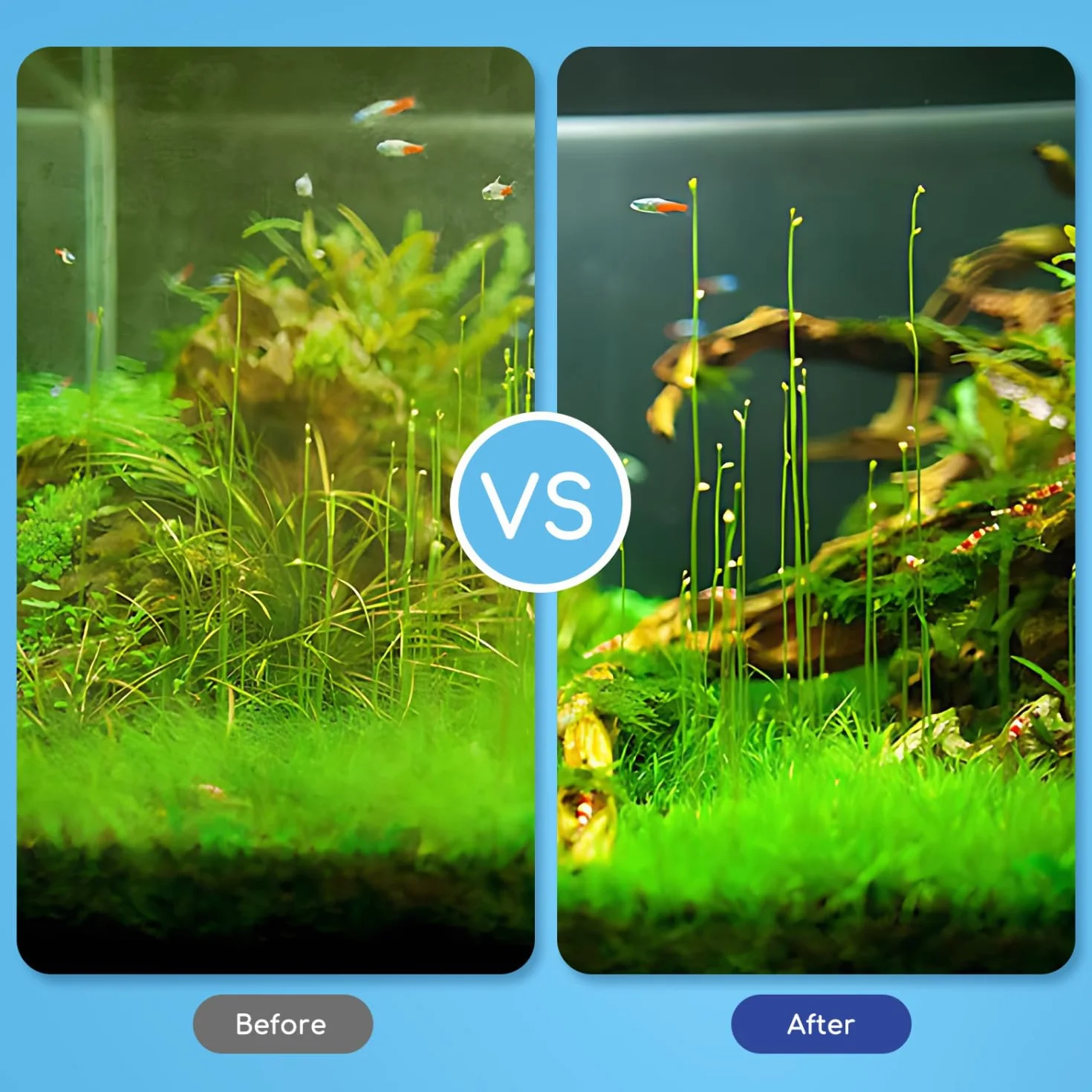 Nobleza Aquarium Cleaners, zestaw 5 w 1 z wysuwanym środkiem do czyszczenia akwarium – siatka na ryby, skrobak do glonów, grabki do żwiru, widełki do roślin, gąbka