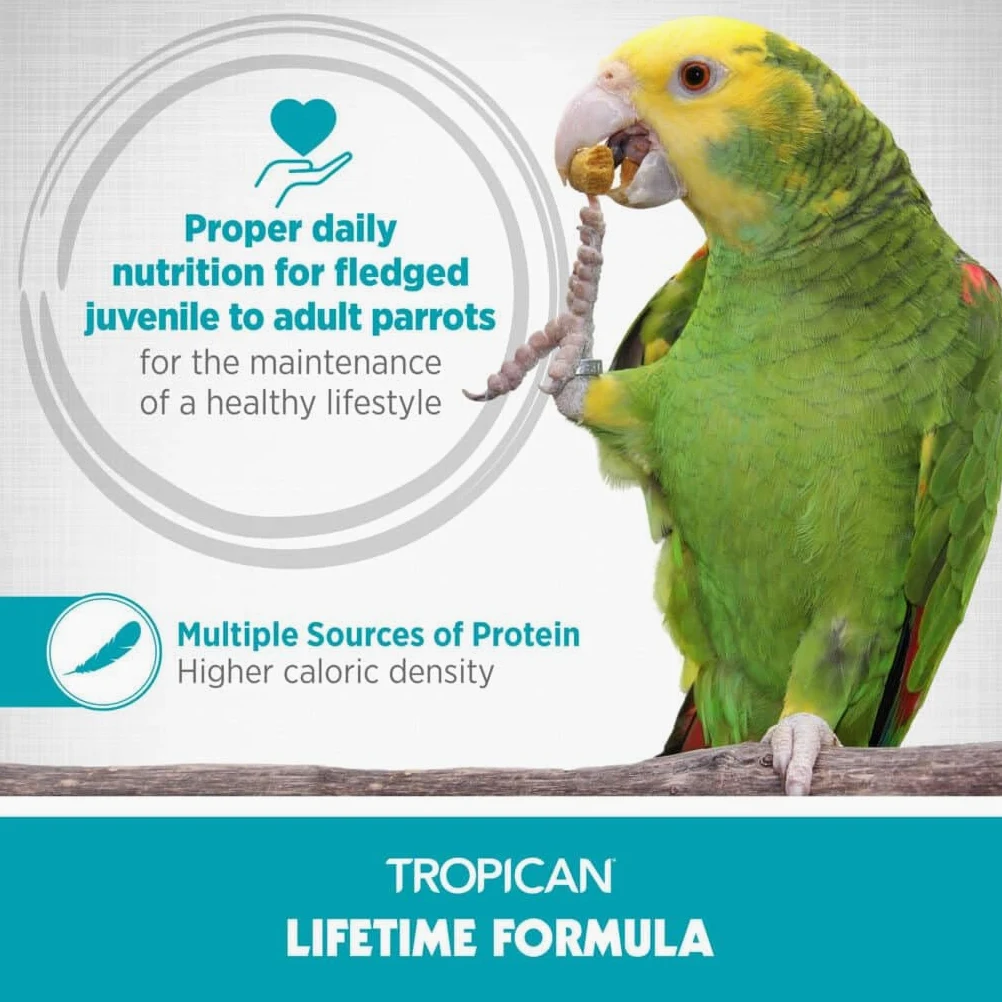 Hagen Tropican Loros Pequeños 820 g