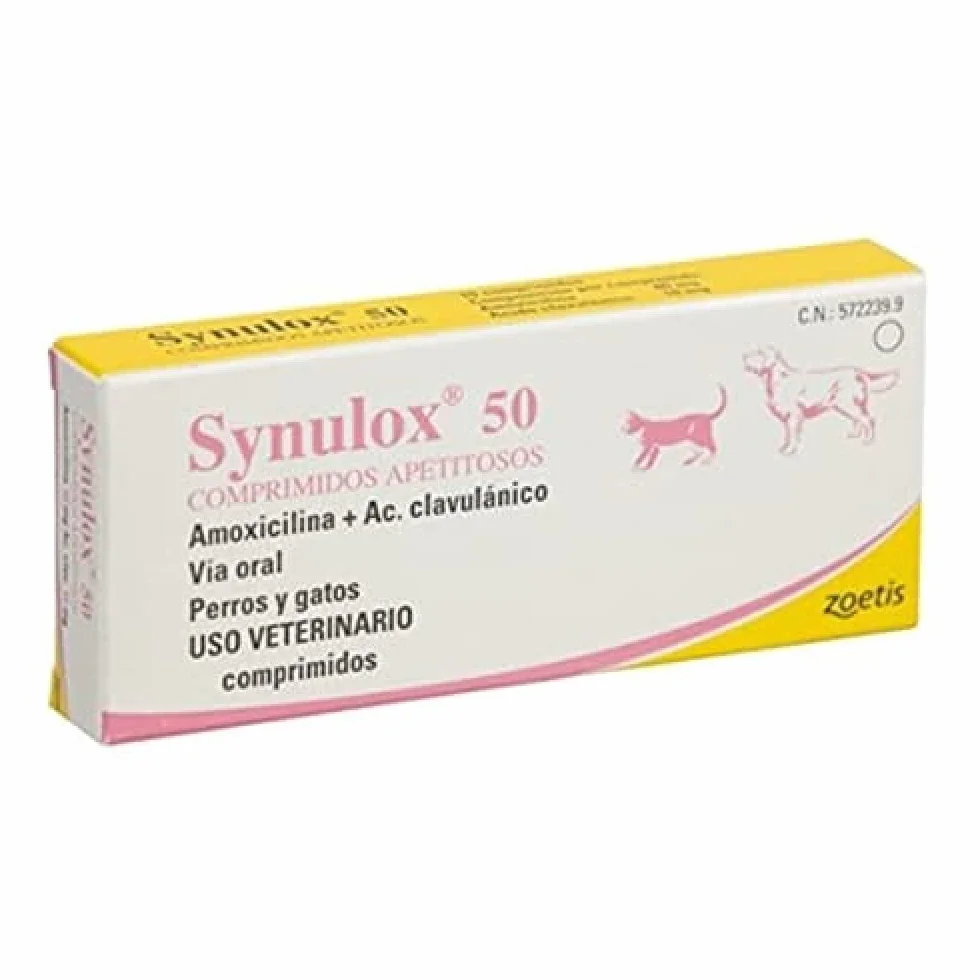 Materiały dla opieki zdrowotnej 50 APETYTOSO 10 Comp Dog Cat