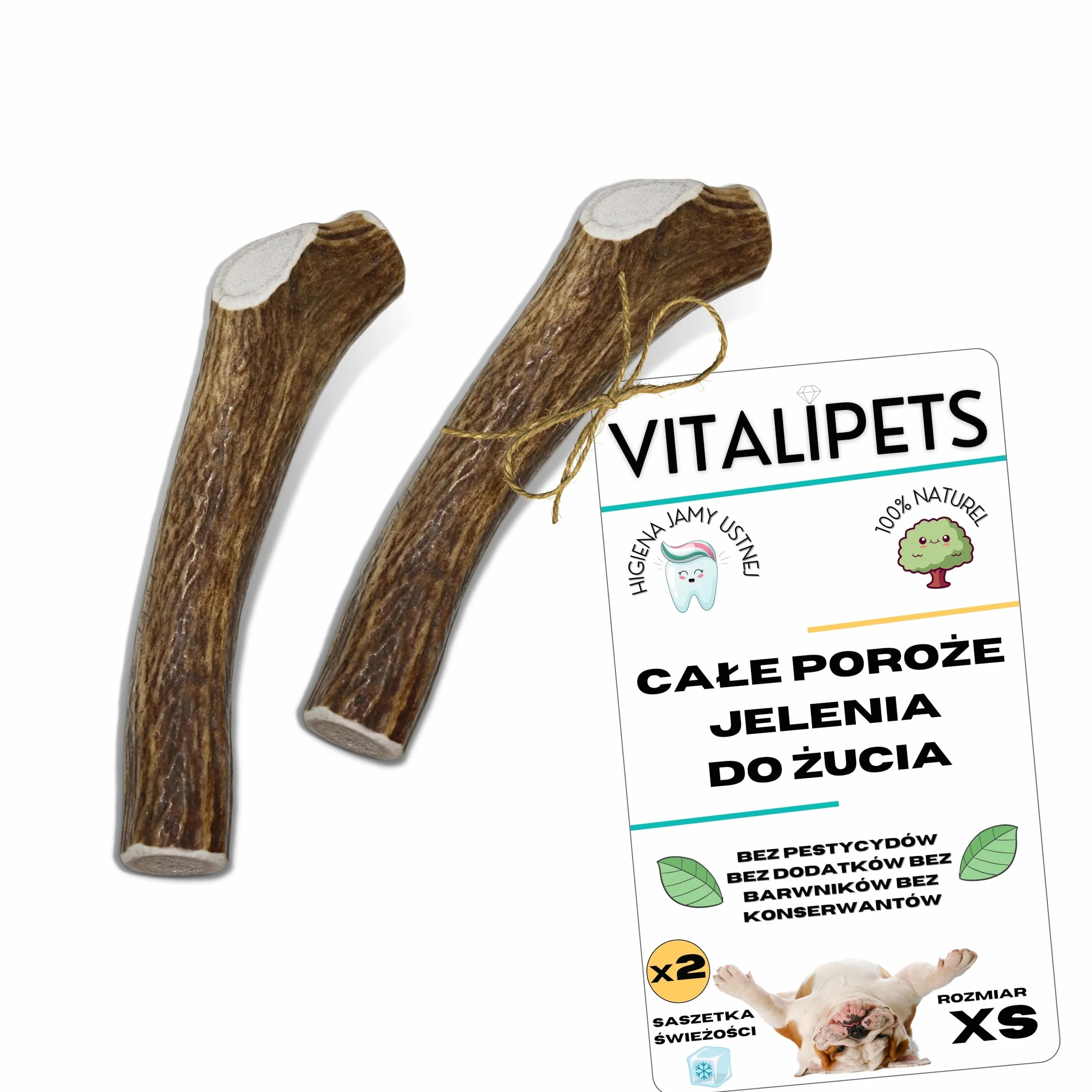 Poroże jelenia dla psa, Rozmiar XS Psy Miniaturowe i Szczenięta, 2 szt | Usuwa kamień nazębny, Źródło minerałów, 100% Naturalny gryzak, Ultra wytrzymały, Bez konserwantów