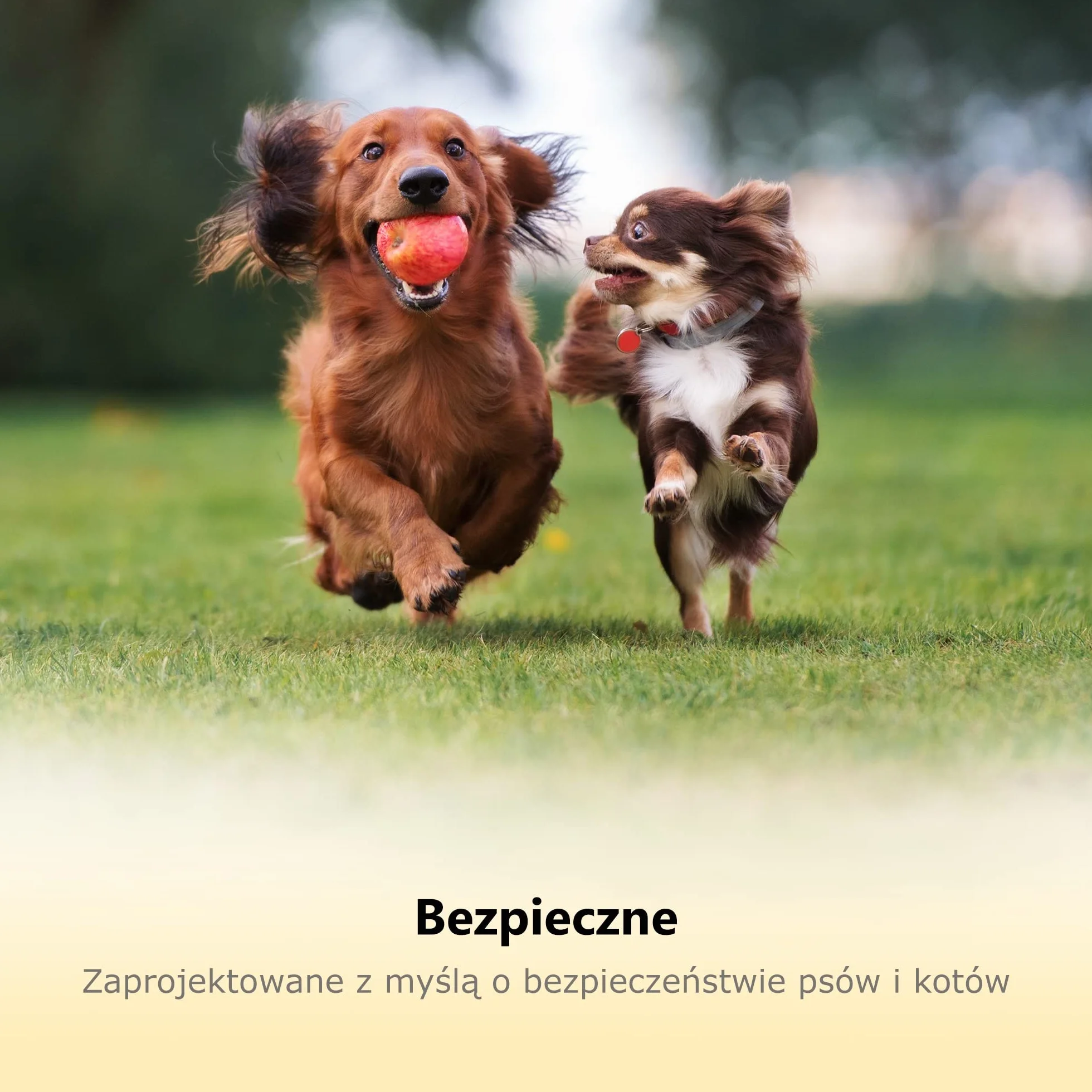 Profesjonalne obcinaczki do pazurów dla psów z osłoną ochronną i blokadą bezpieczeństwa (Średnie i Duże rasy, Żółte)