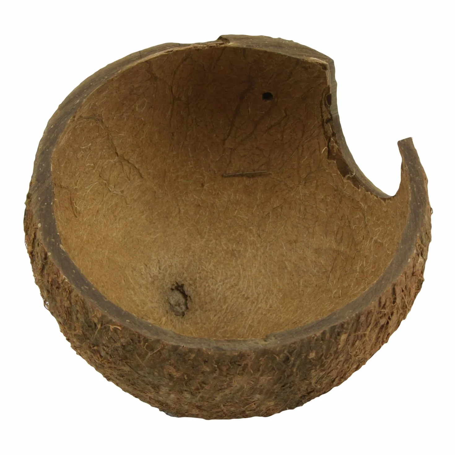 JBL 61510 miska na orzech kokosowy jako jaskinia do akwariów i terrariów, Cocos Cava 1/2 l