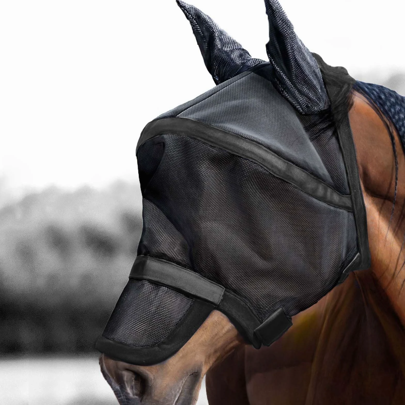 Harrison Howard Maskology Supreme Horse Fly Mask UV ochrona z odpinanym pokrowcem na nos 2 w 1 czarna L