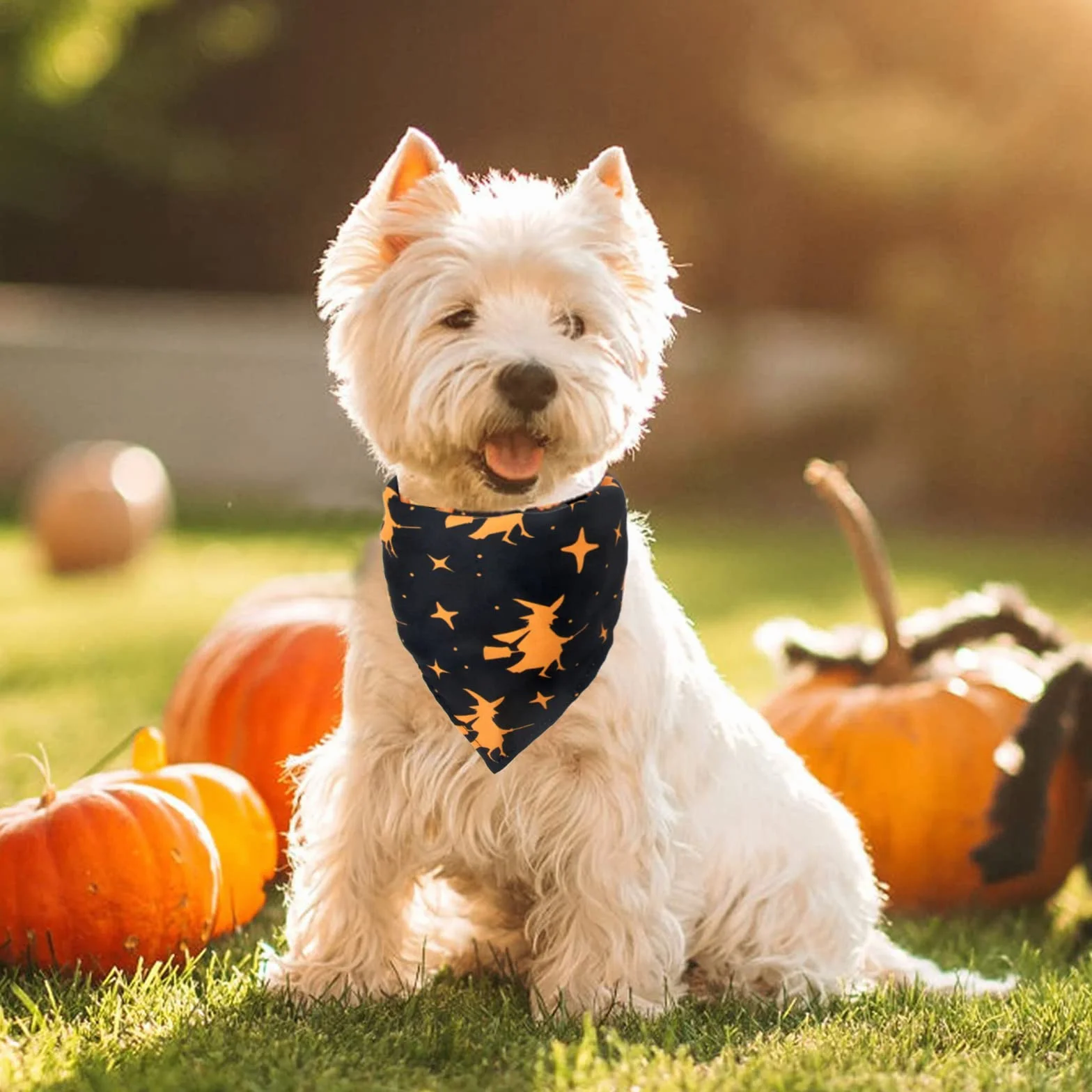 Bandany dla psa na Halloween, 2 szt. zmywalnych halloweenowych czarownic wzór dyni szalik dla psa, regulowana trójkątna chusta dla kota psa, akcesoria do kostiumu dla szczeniaka małych i średnich dużych psów
