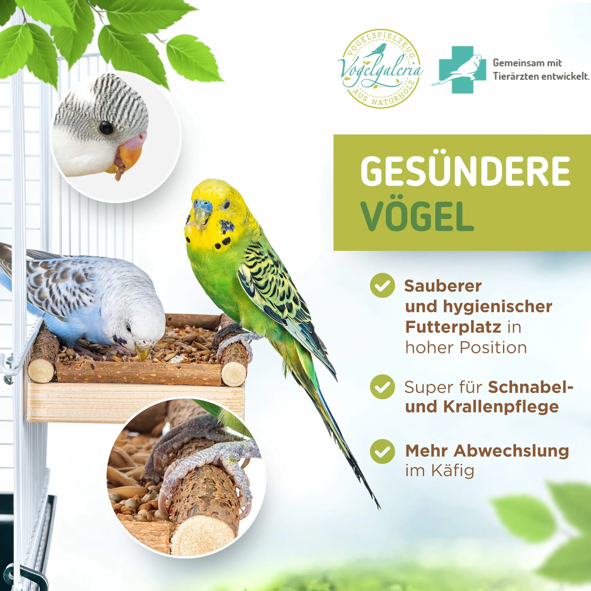 Vogelgaleria zestaw 2 desek platform do siedzenia 10 x 20 cm z naturalnym drewnem dla ptaków takich, jak kogut papuga falista itp. Idealne akcesoria do klatki, z materiałem do montażu
