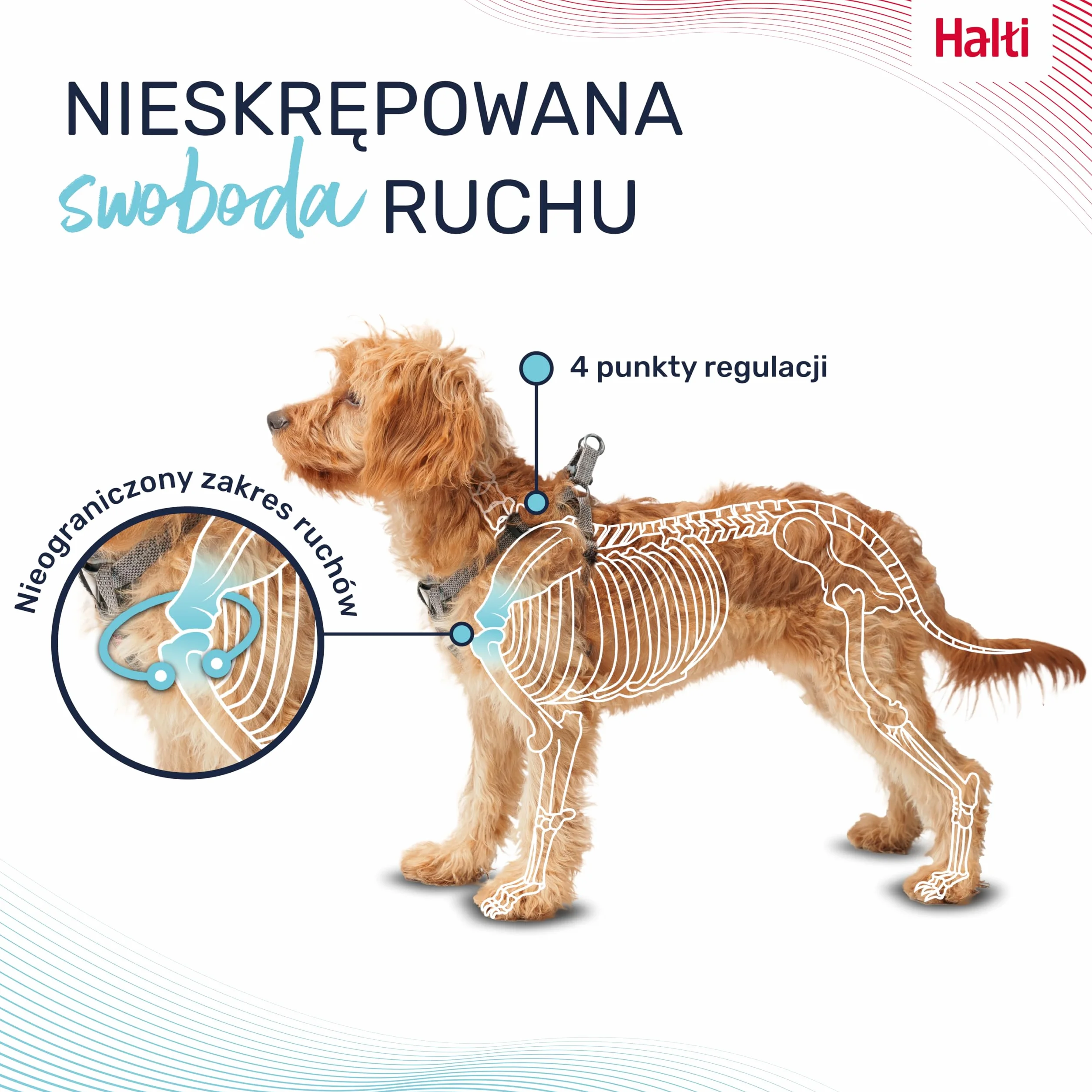 HALTI Anatomy uprząż dla szczeniąt XXS szary 4 punkty regulacji