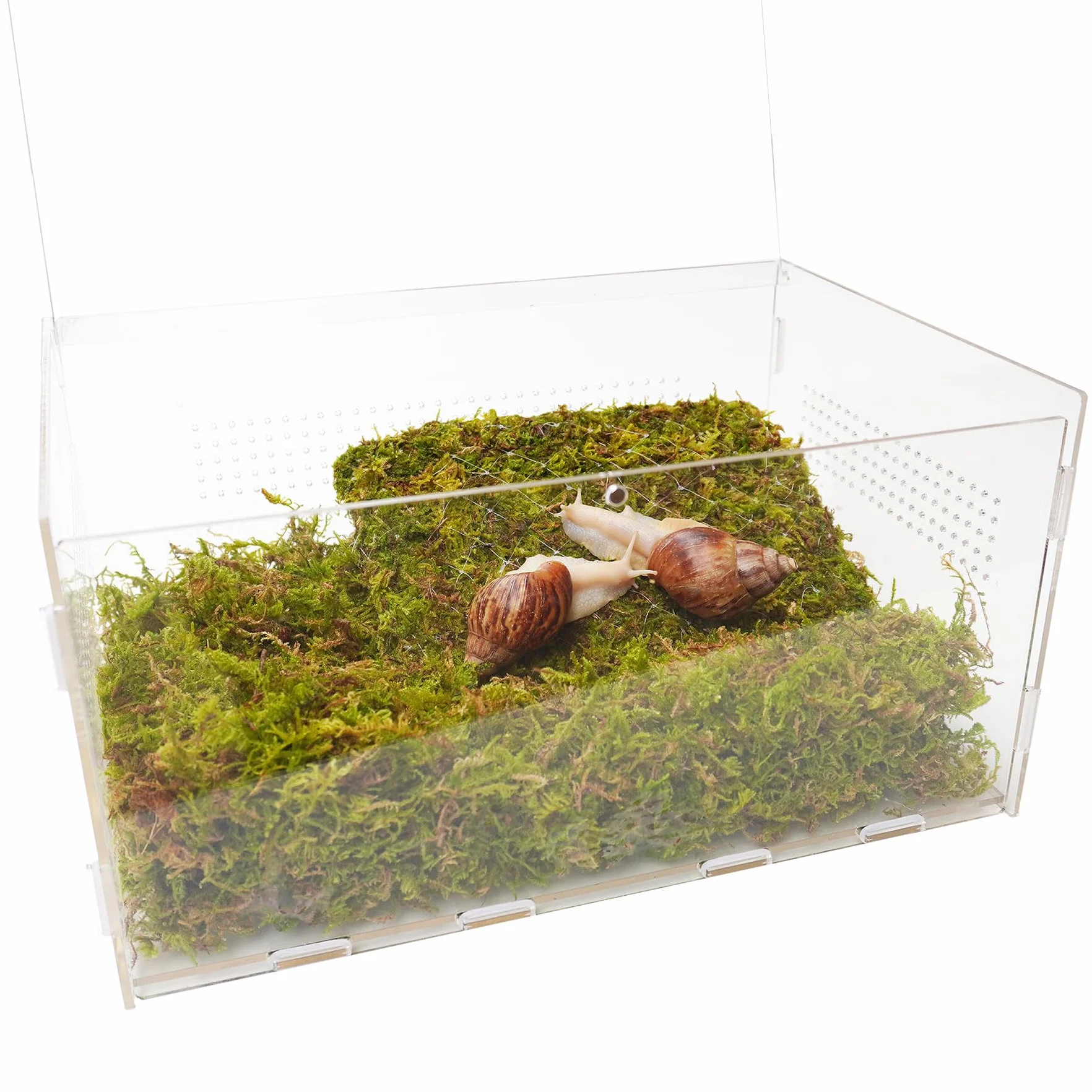 Zestaw terrarium dla zwierząt domowych ze ślimakiem o wymiarach 28,5 x 20 x 15 cm terrarium ze ślimakiem i ścianą wspinaczkową 18 cm
