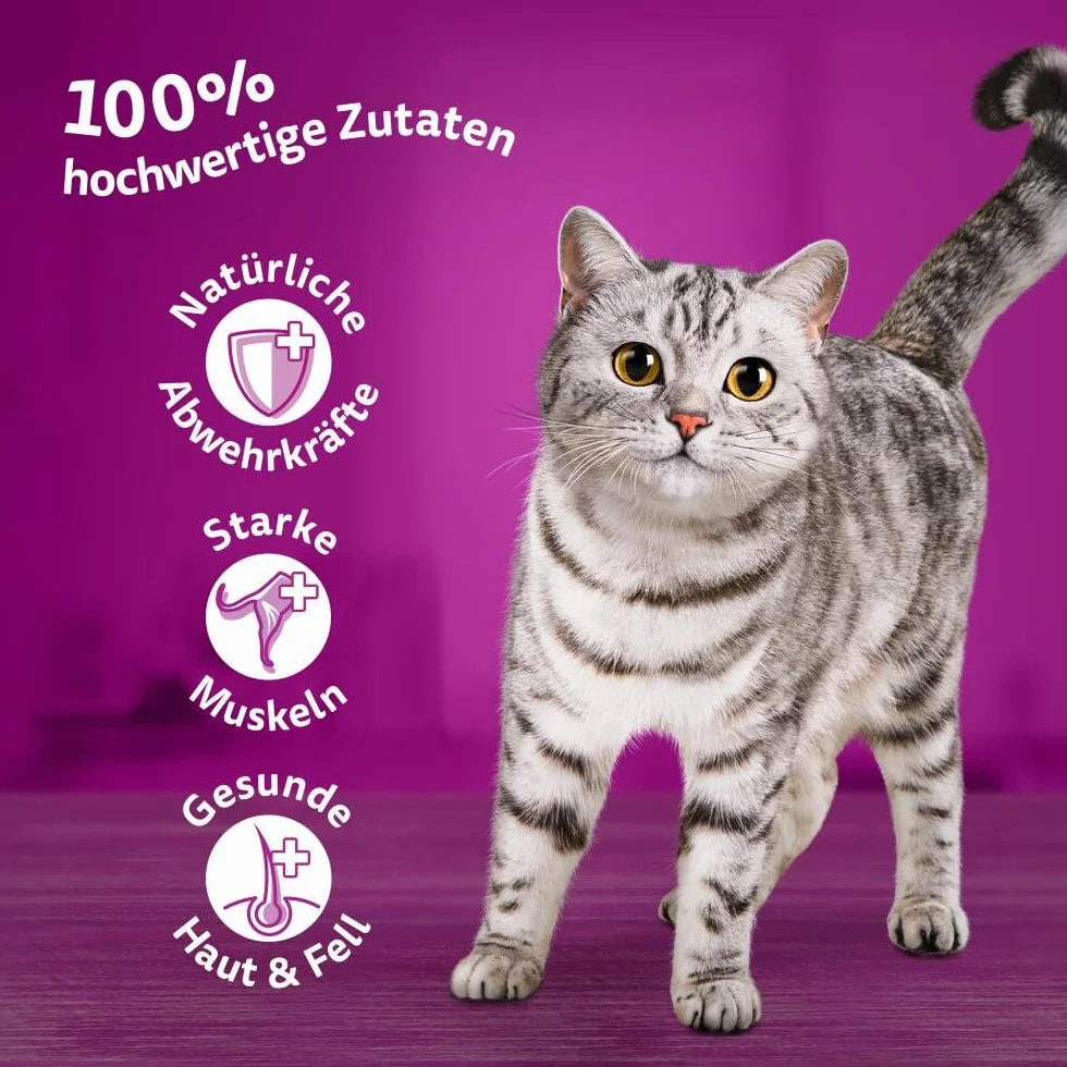 Ulubione ryby w galarecie 40x85gr - Whiskas mokra karma w saszetkach dla dorosłych kotów