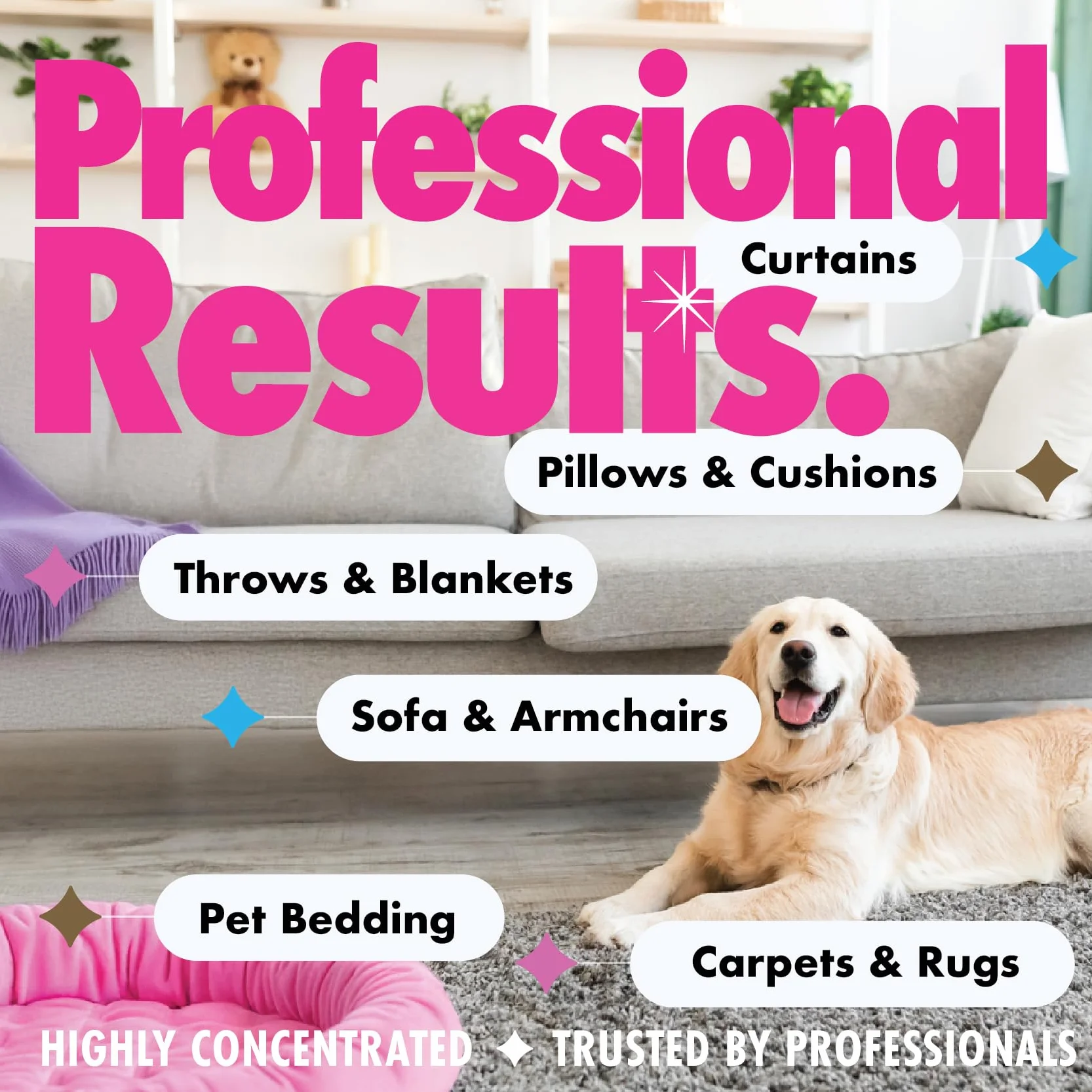 Dirtbusters Pet Pro Szampon do czyszczenia dywanów, głębokie czyszczenie, środek do usuwania plam z neutralizatorem zapachów, do usuwania moczu psa i kota, roztwór do czyszczenia dywanów do szamponów,