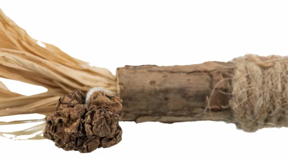 TRIXIE Matatabi kij z frędzlami, 24 cm