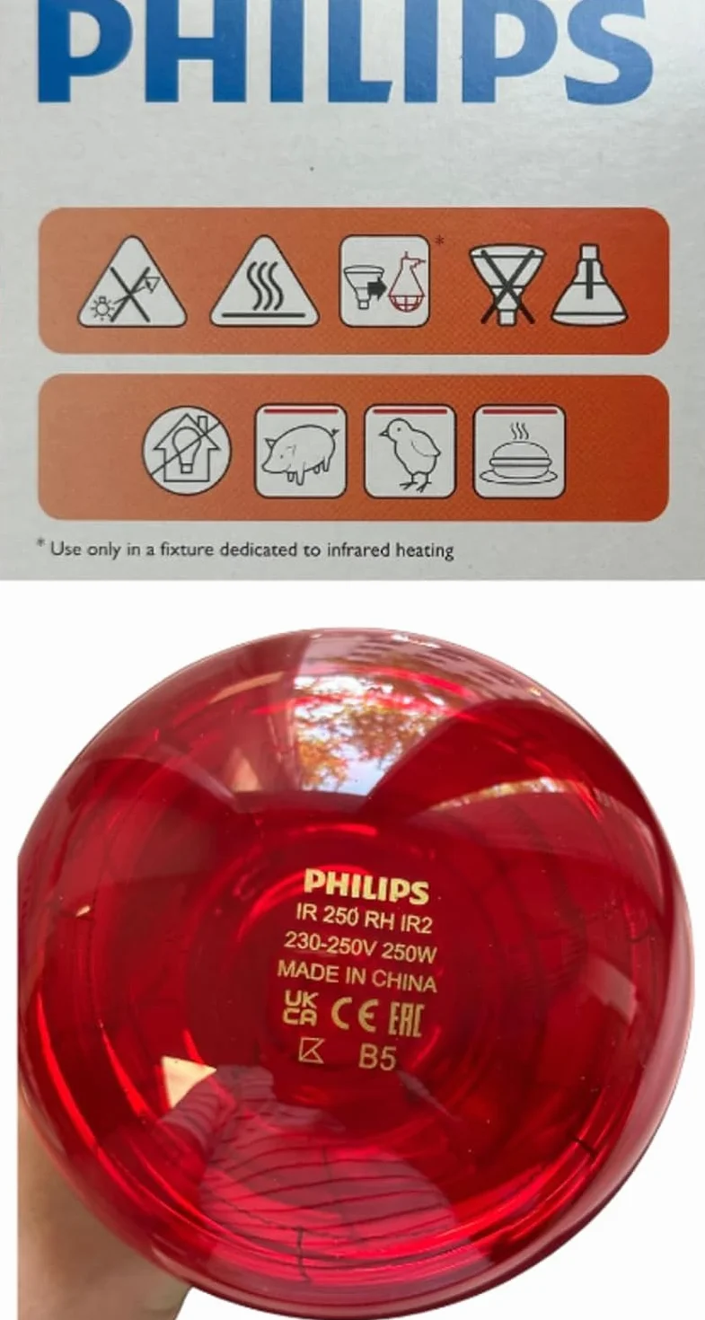 Philips BR125 IR 250W E27 230-250V Czerwony 1CT/10