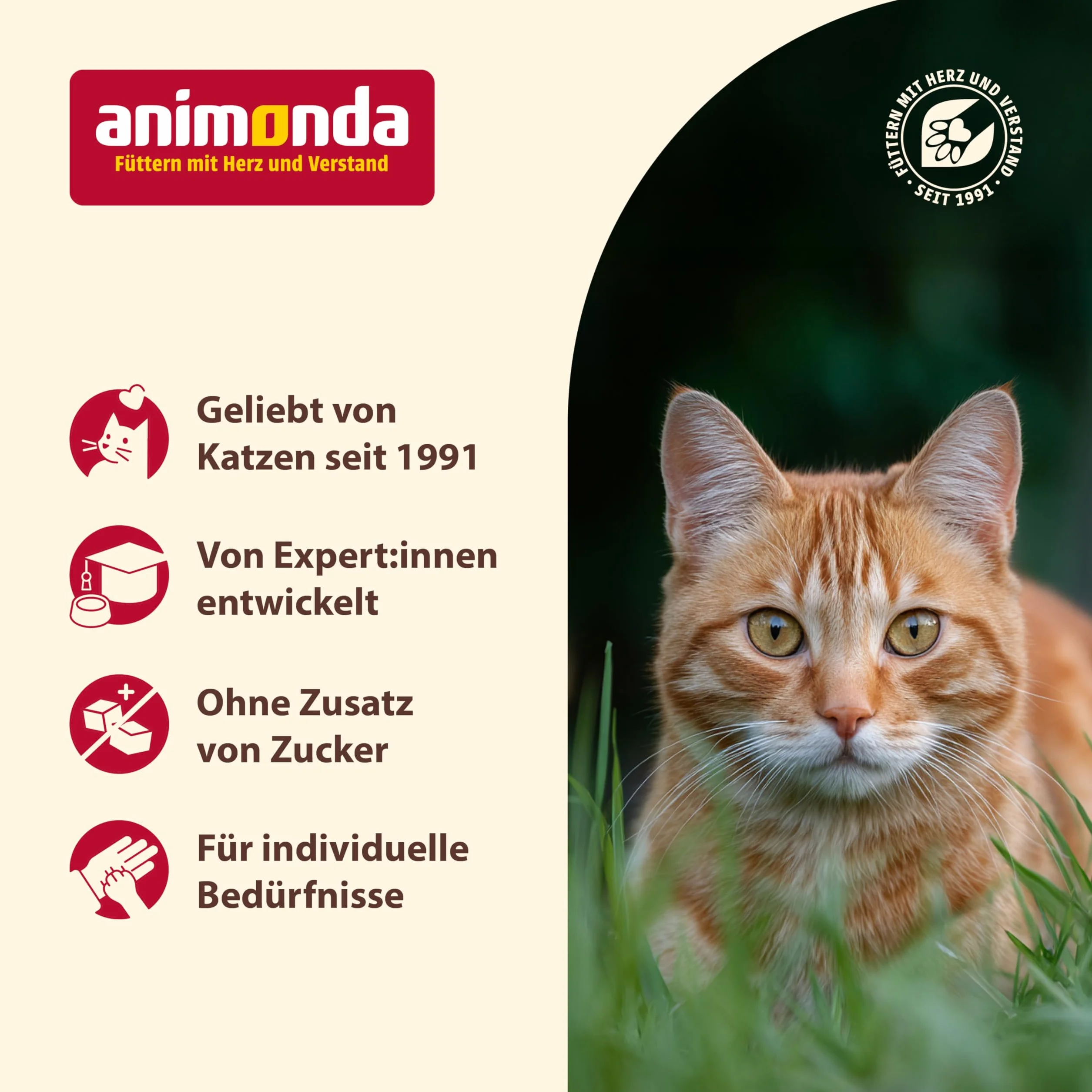 Animonda Carny Kitten Karma dla Kotów, 12 x 200 g