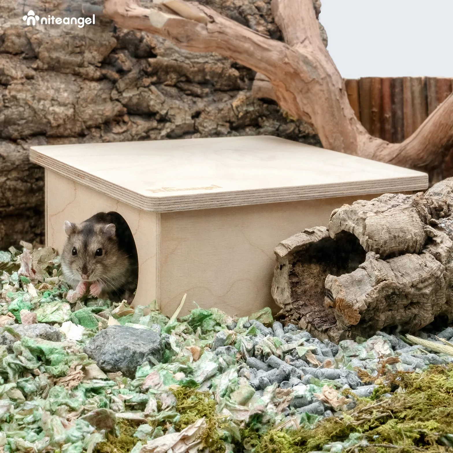 Niteangel Labirynt z komór z brzozy - kryjówka dla małych zwierząt domowych, leśny domek, przestrzeń życiowa, dekoracja dla chomików, myszy, chomików zwyczajnych