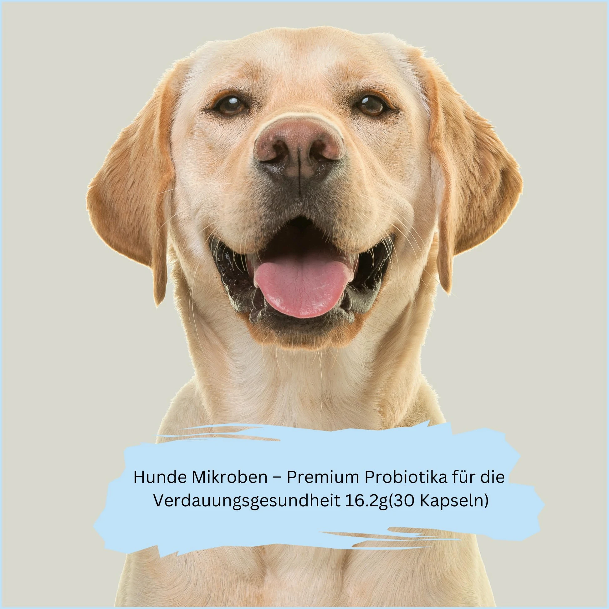 Mikroby dla psów – probiotyki premium dla zdrowia trawienia (30 kapsułek)