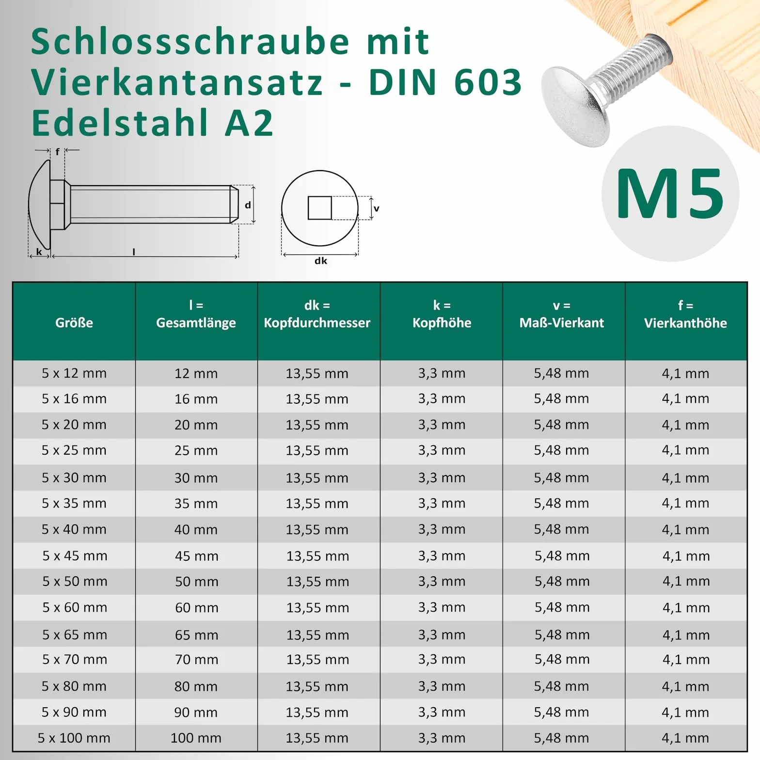 DSM – Śruby zamkowe M5 x 100 mm zgodnie z normą DIN 603 – stal nierdzewna A2/V2A – pełny gwint – śruby z łbem płaskim okrągłym z nasadką czworokątną – śruby do zawiasów drzwiowych – 10 sztuk