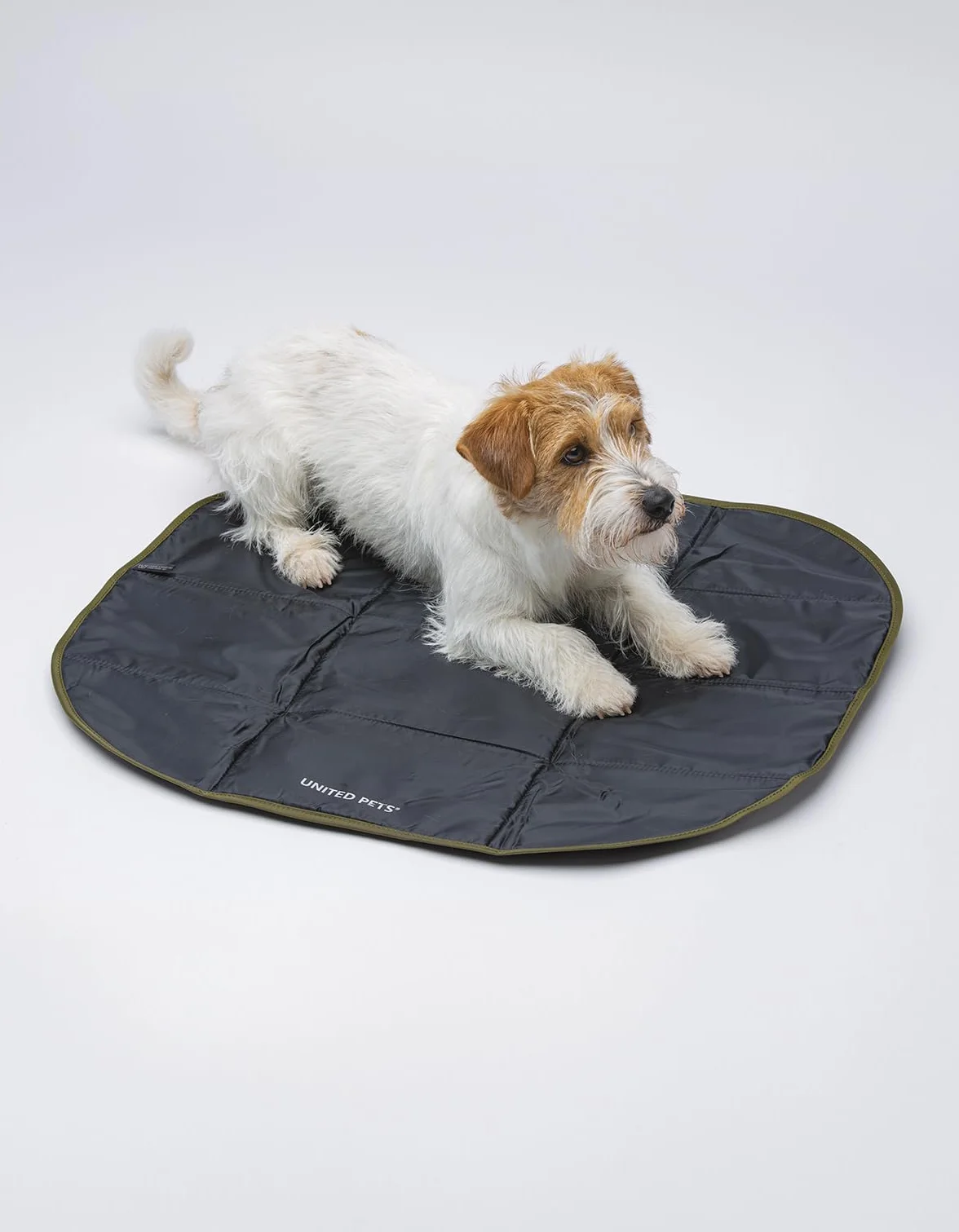 United Pets Lazy Dog Mat - Przenośne składane legowisko dla psa, mata do restauracji i podróży, lekka mata do spania dla psa, czarno-zielona