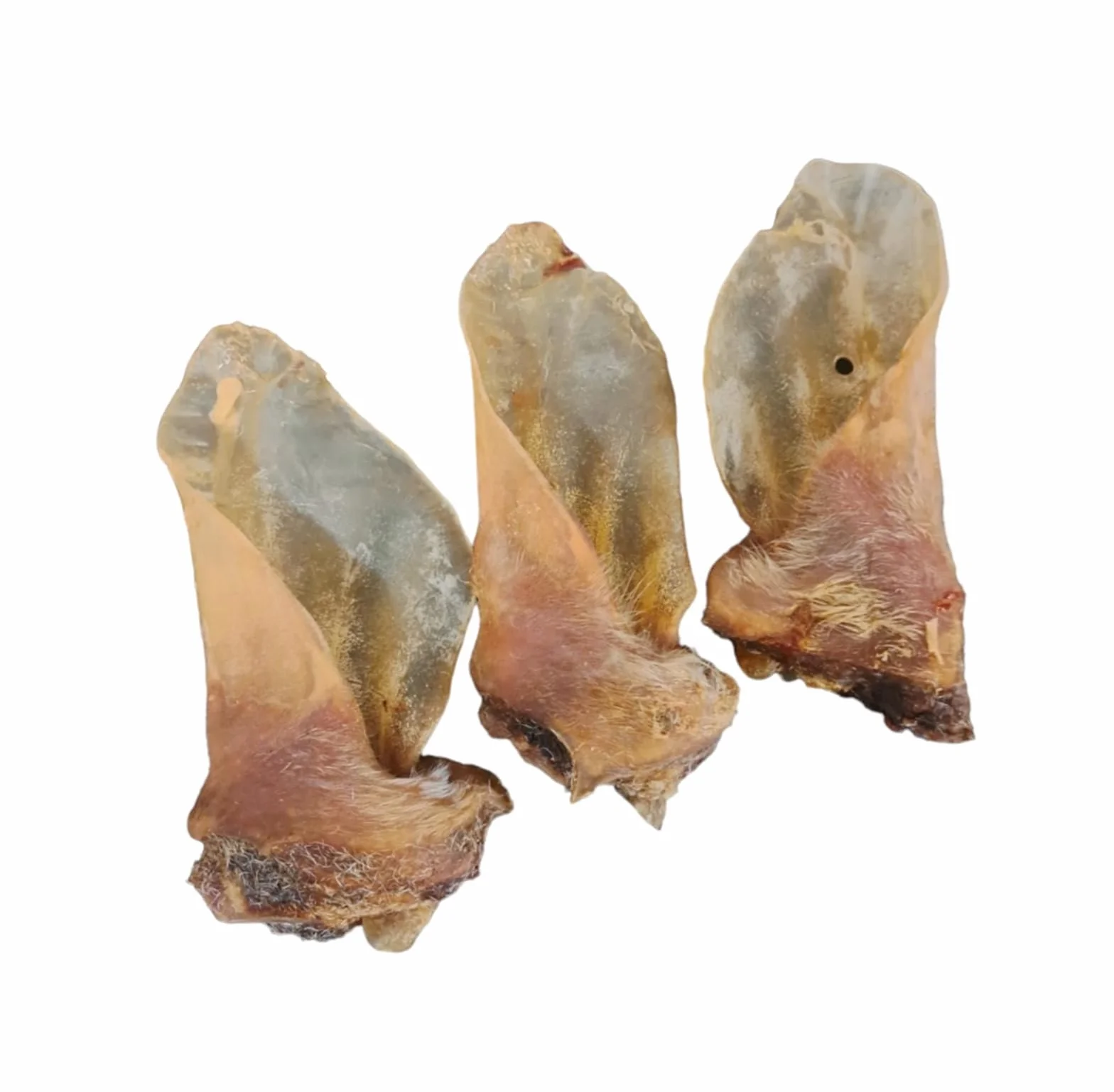Uszy Wołowe XXL z Muszlą dla Psów, 1 kg, Naturalny Gryzak do Żucia dla Dużych Psów, 15-22 cm, Bez Futra, Organiczna Przekąska Bez Chemikaliów, Polska Produkcja