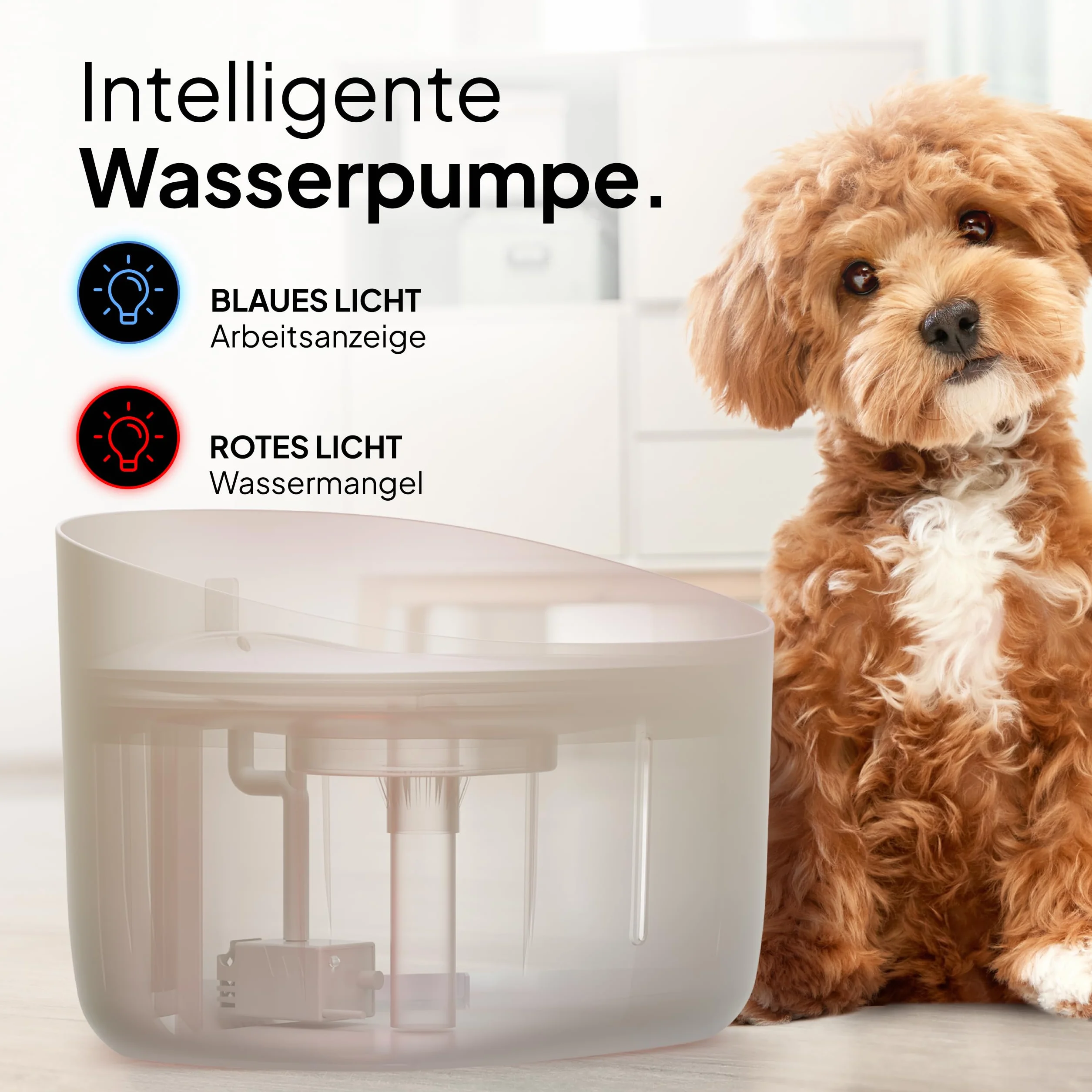 Pretty PAW® fontanna do picia dla psów, bardzo cicha fontanna do picia z 7-litrowym zbiornikiem na wodę, bez BPA, z filtrem i diodami LED, łatwy do czyszczenia dozownik wody dla psów