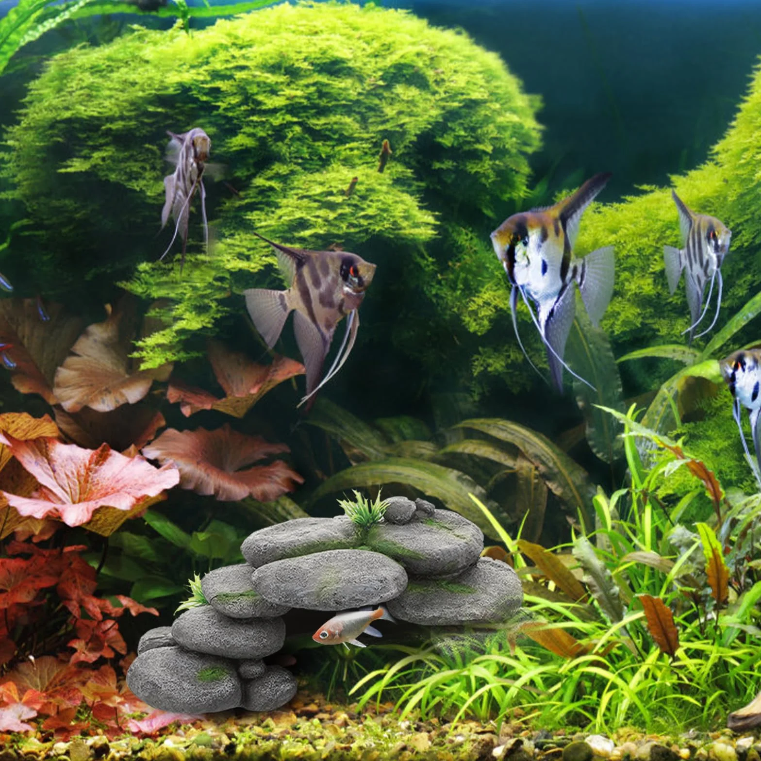 Akwarium jaskinia kamienie dekoracja dla żółwi krewetek betta ryb żywica terrarium