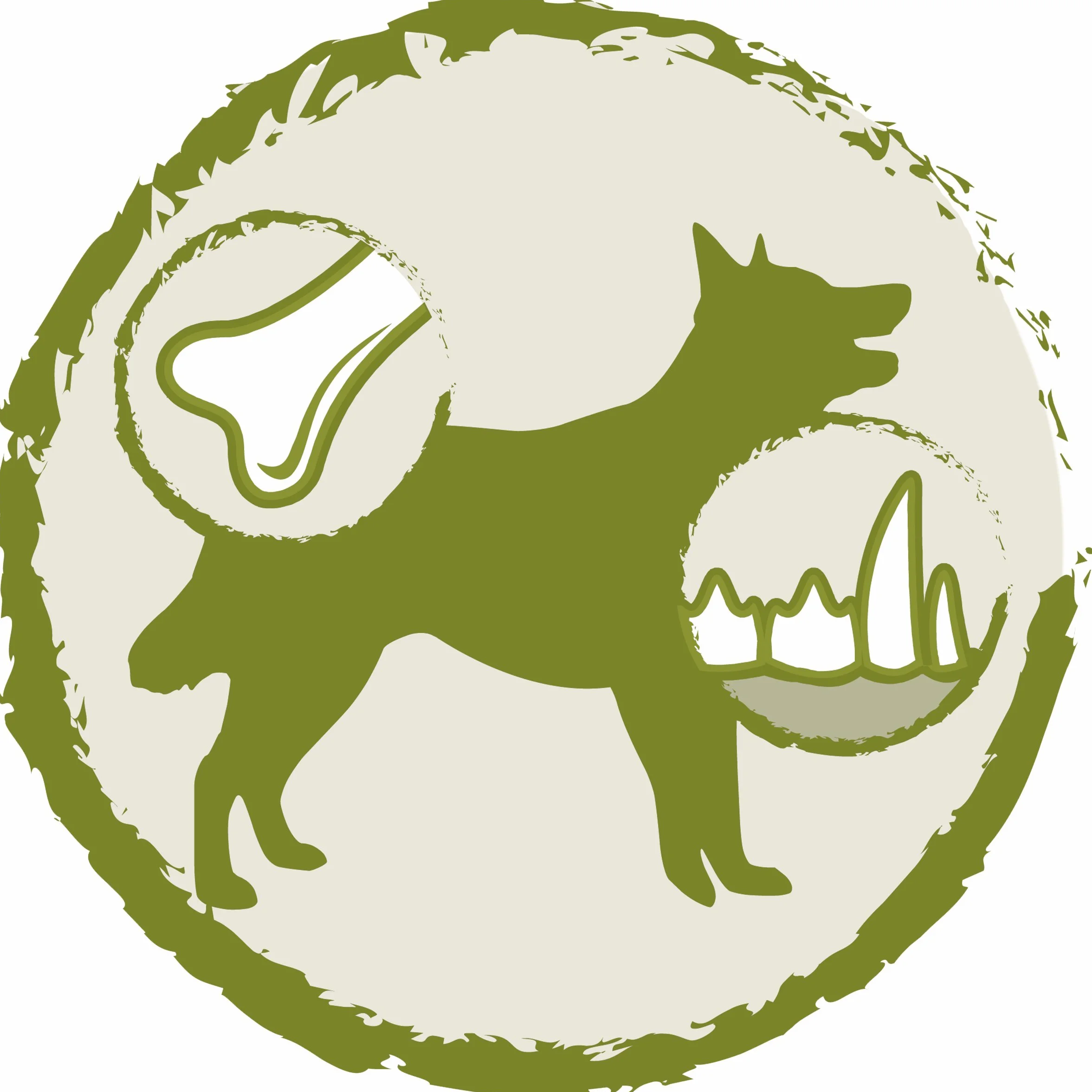 PURINA DOG CHOW | Dorosły | Karma dla dużych psów | Jagnięcina | Zestaw 1 szt. | 14 kg | Torba