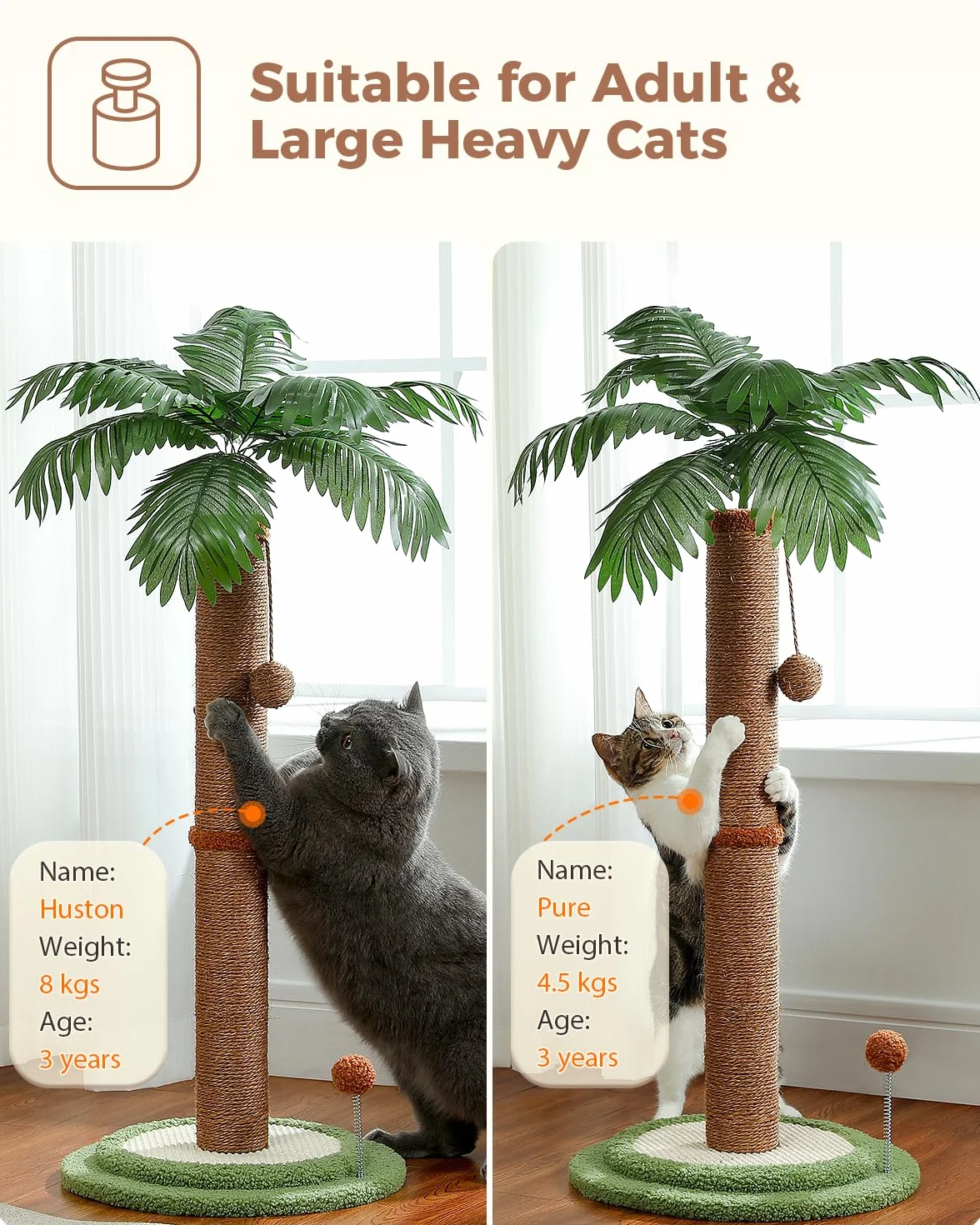 PAWZ Road Kokosowy drapak dla kota, brązowy, AY401-AMT0219BN