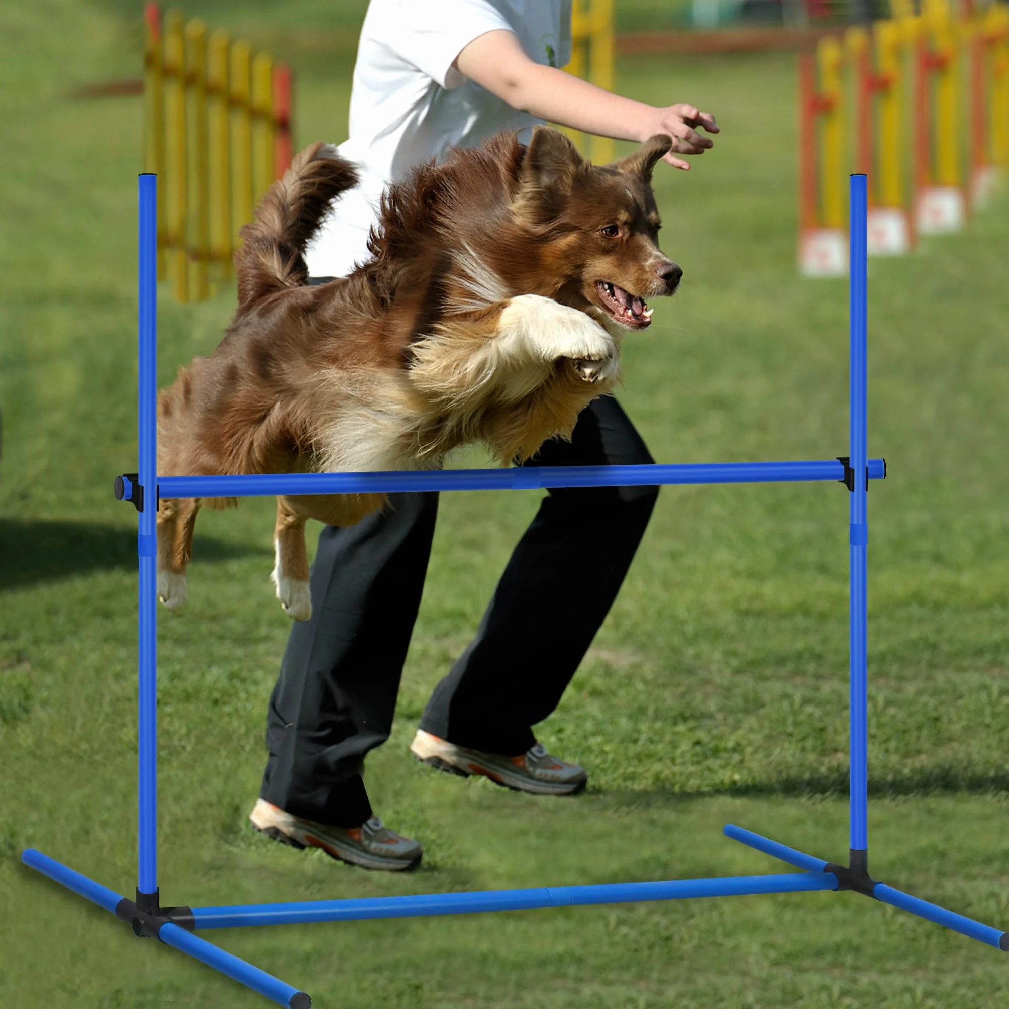 NAIZY Zestaw 4 płotków Agility Slalom dla zwierząt domowych, z regulacją wysokości, zestaw drążków treningowych dla psów, kotów, trening warunkowy, siła skoku, ruchliwość – niebieski