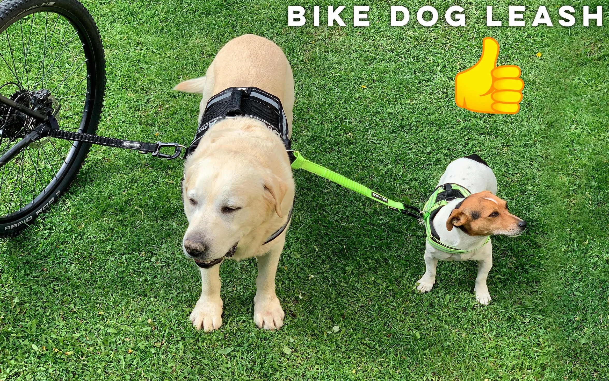 BIKE AND DOG - Smycz dla psa do roweru, beznarzędziowe mocowanie w najbezpieczniejszym punkcie, zawiera 2 specjalne opaski rowerowe. Opatentowana. (Czarny)