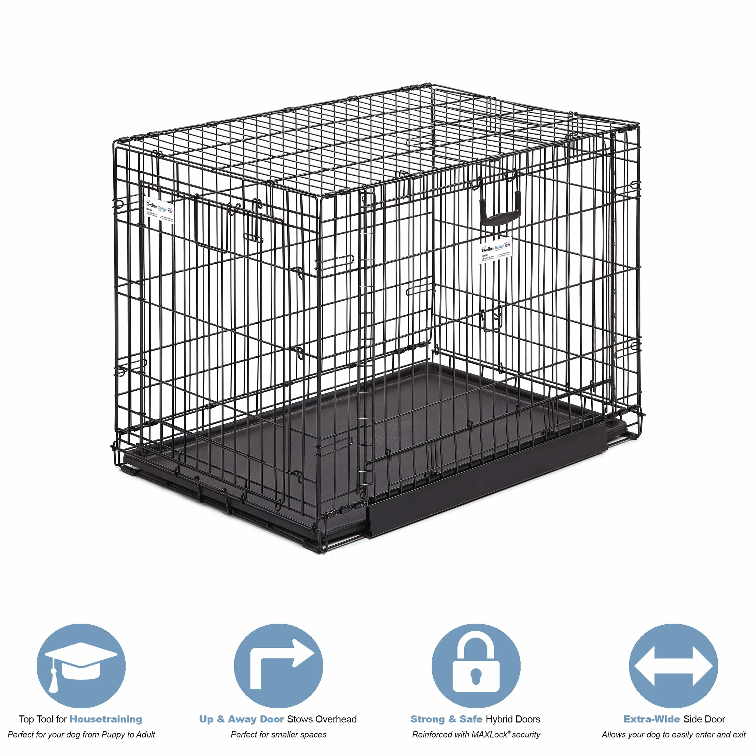 MidWest Homes for Pets Intermediate Ovation Double Door 36-inch Folding Metal Dog Crate, Front and Up & Away Side Doors, Space-Saving Design