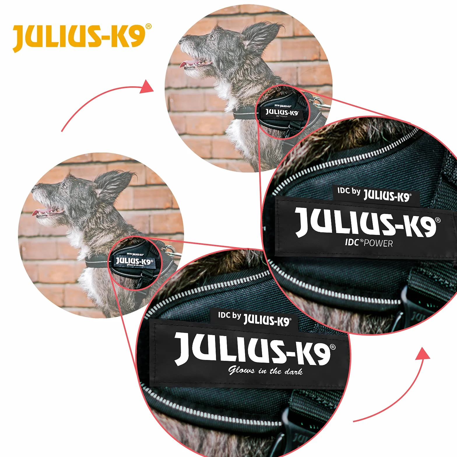 Julius-K9, IDC Powerharness, uprząż dla psa z przednim paskiem sterującym Y, rozmiar: XL/2, czarna