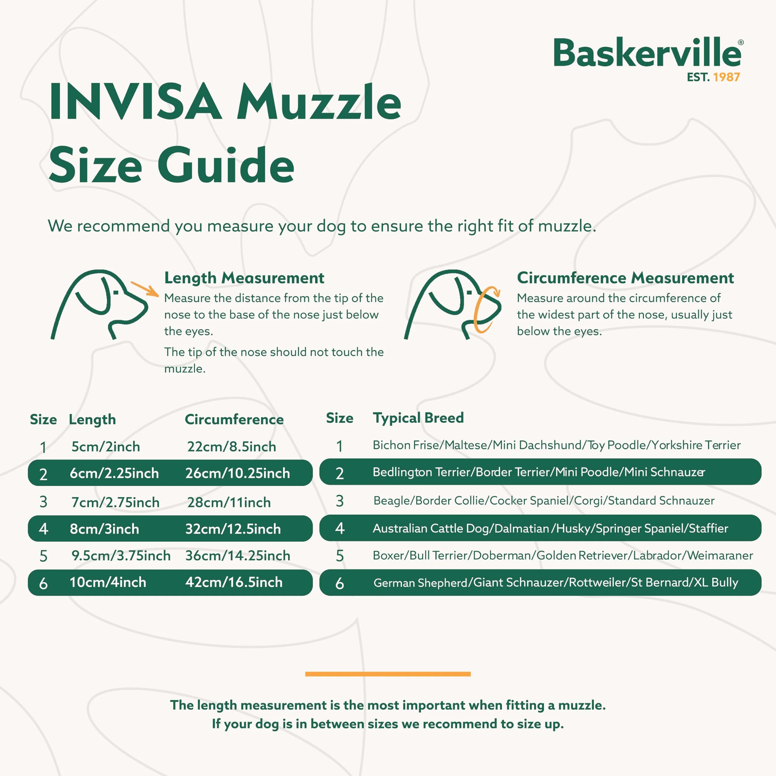 Baskerville INVISA Kaganiec koszykowy dla psa, opatentowany, ludzki design z widocznością twarzy, wyściełany pasek na nos, spodnie i picie, zapobiega gryzieniu i zmiataniu, kaganiec dla średnich psów