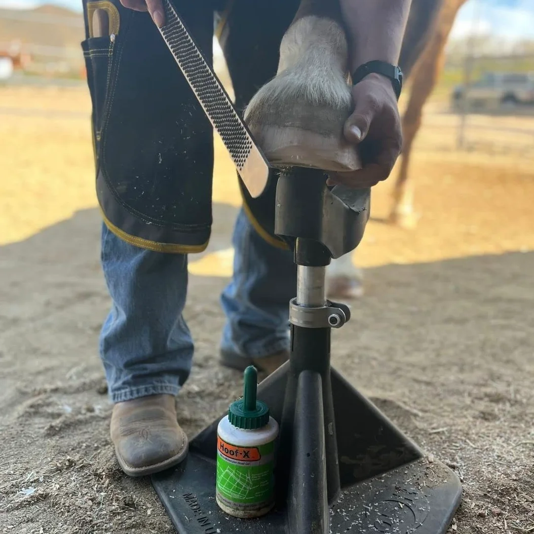 Hoof It Kowal Farrier stojak na kopyta konia, czarny