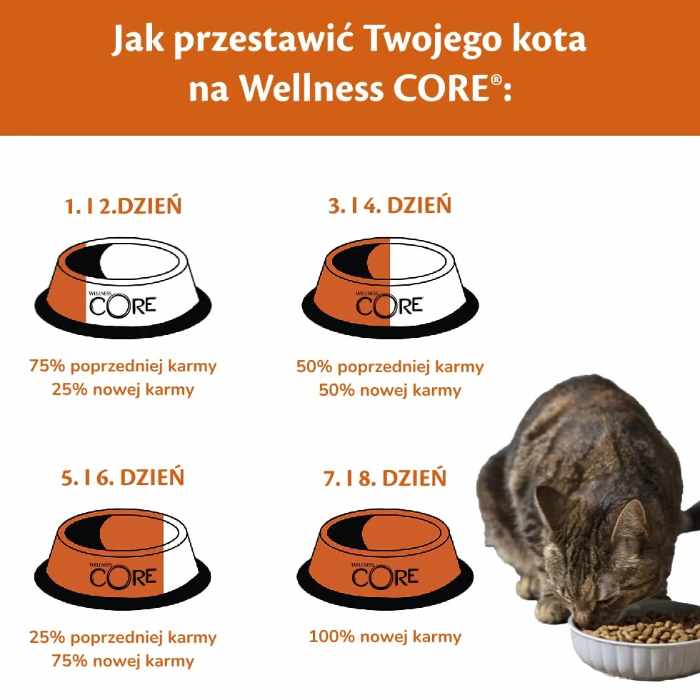 Wellness CORE Sterilised Ocean 1.75 kg Łosoś Sucha Karma dla Kotów Sterylizowanych Bezzbożowa