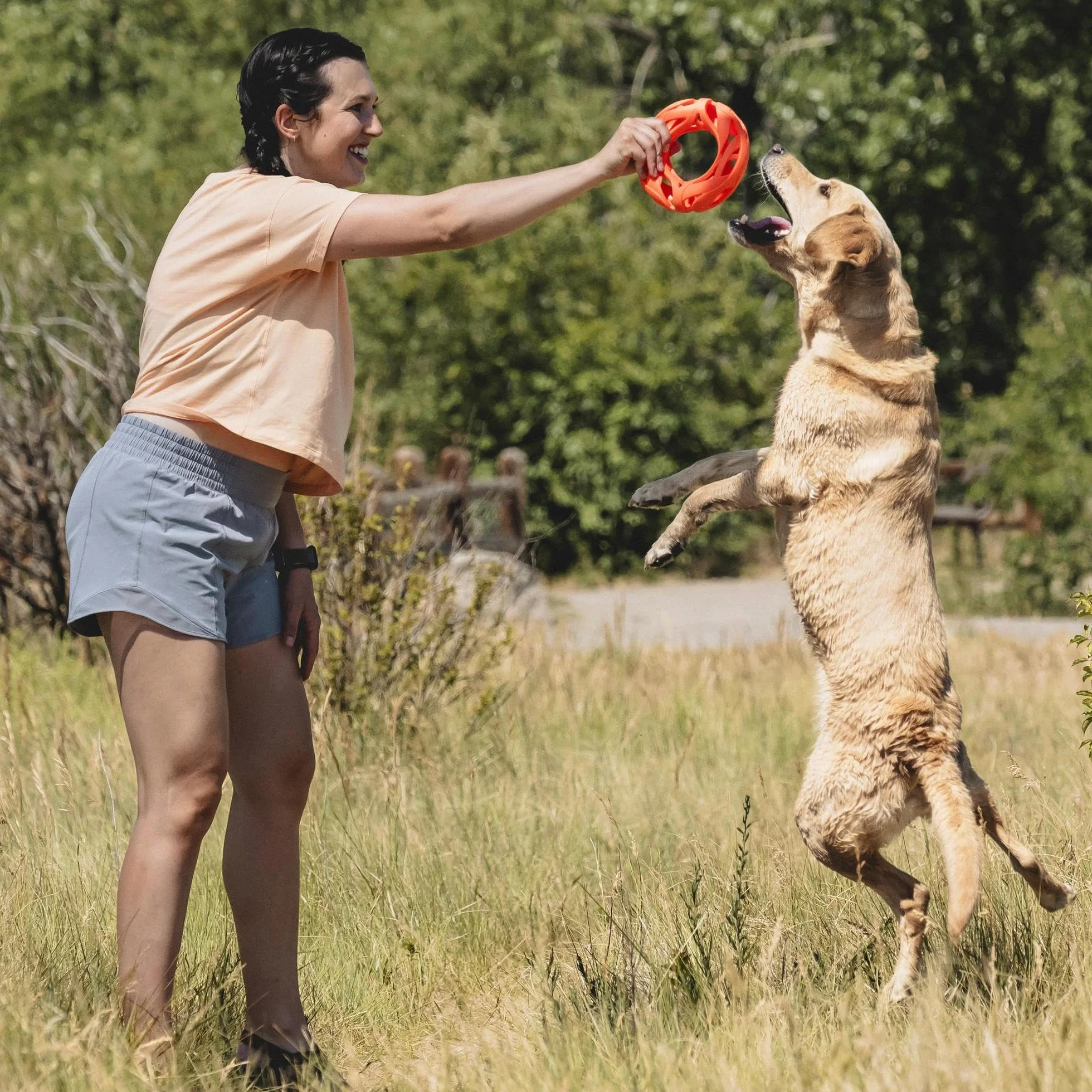 Chuckit! Air Fetch koło pies zabawka trwała frisbee dla psów latający dysk pies woda zabawka