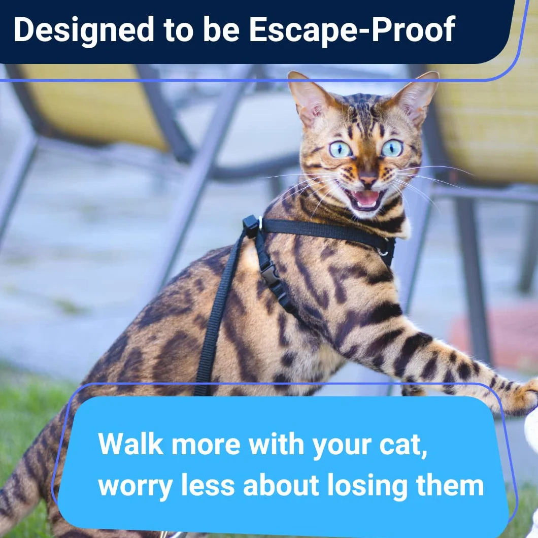 Houdini™ Vegan Leather Escape Proof Kitten zestaw uprzęży i smyczy – od OutdoorBengal for Walking Kittens (S)