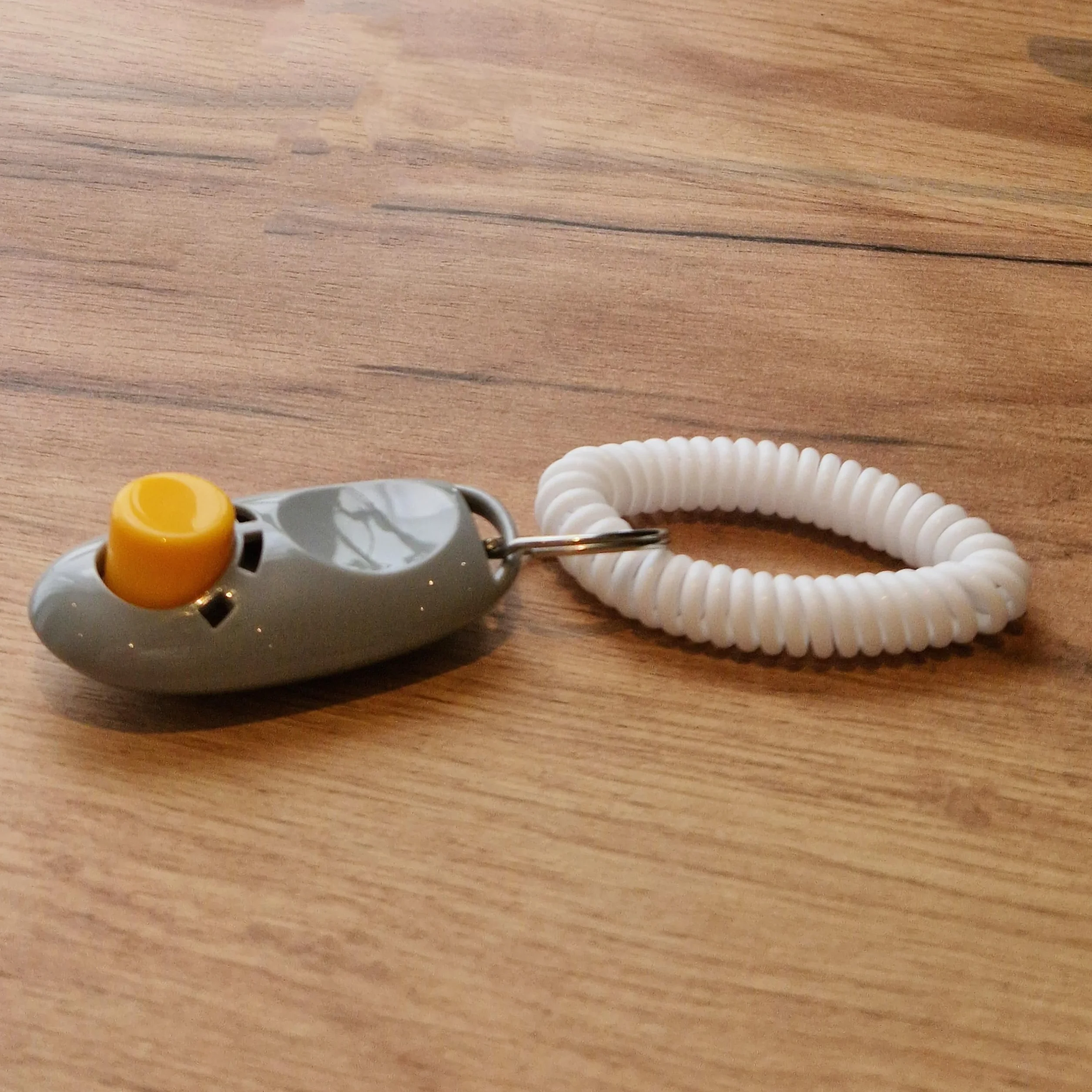 big buddy® Profesjonalny clicker z elastycznym paskiem na rękę | clicker dla psów, kotów i koni, trening psów