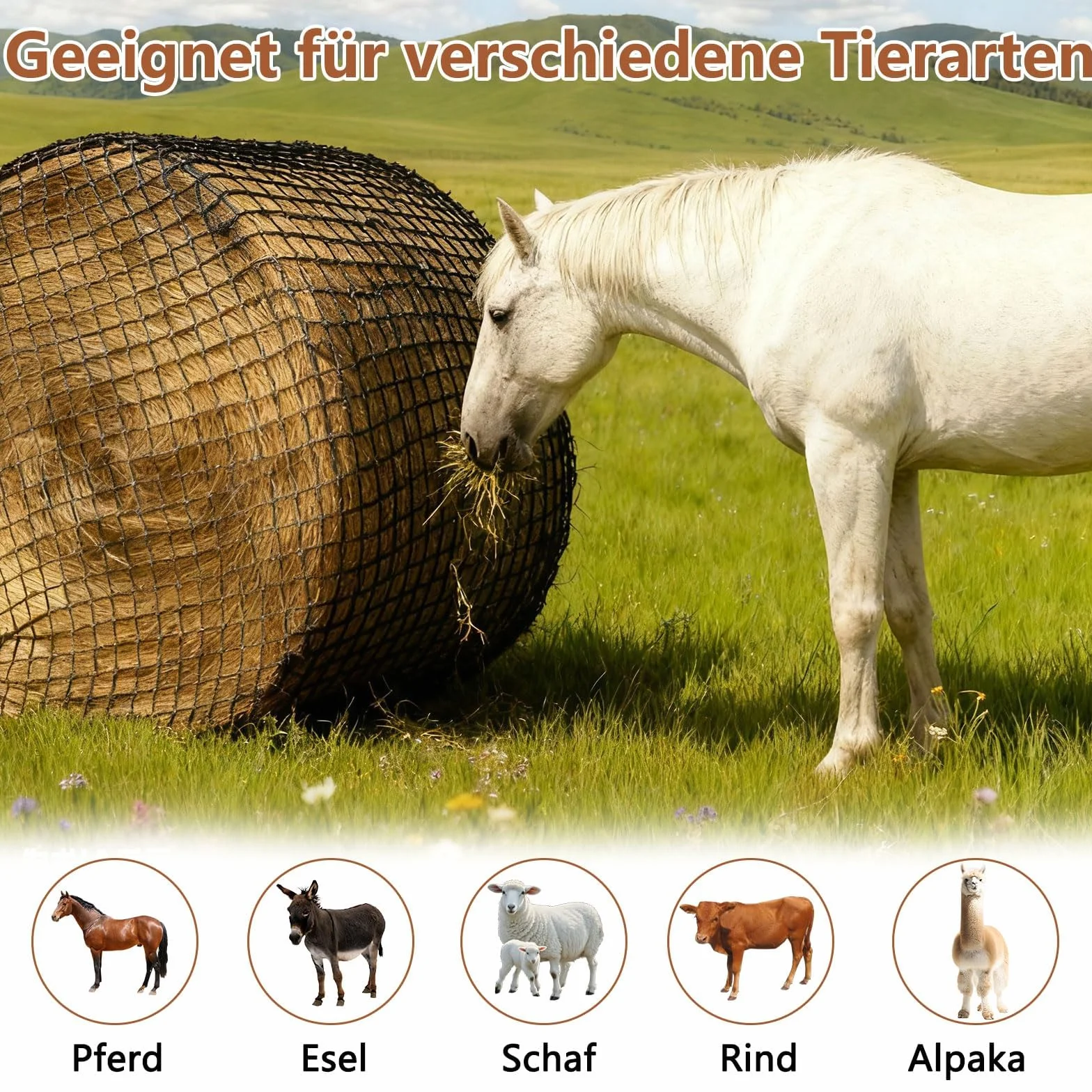 Siatka na siano do okrągłych beli, małe oczka, rozmiar 5 x 1 m