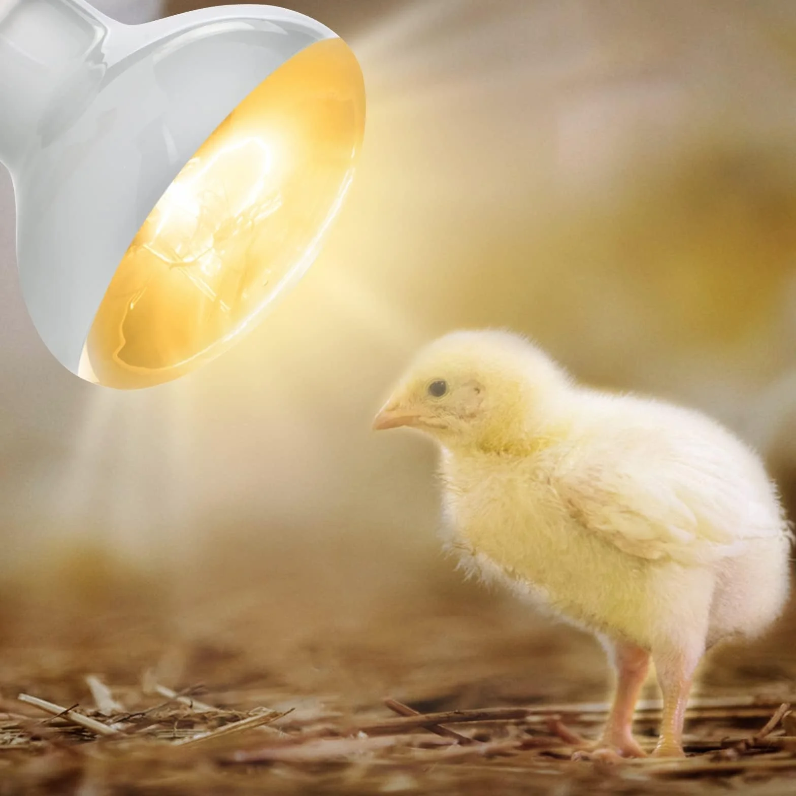2 szt. Lampa grzewcza UVA do wspinaczki dla zwierząt domowych - 50 W-220 V