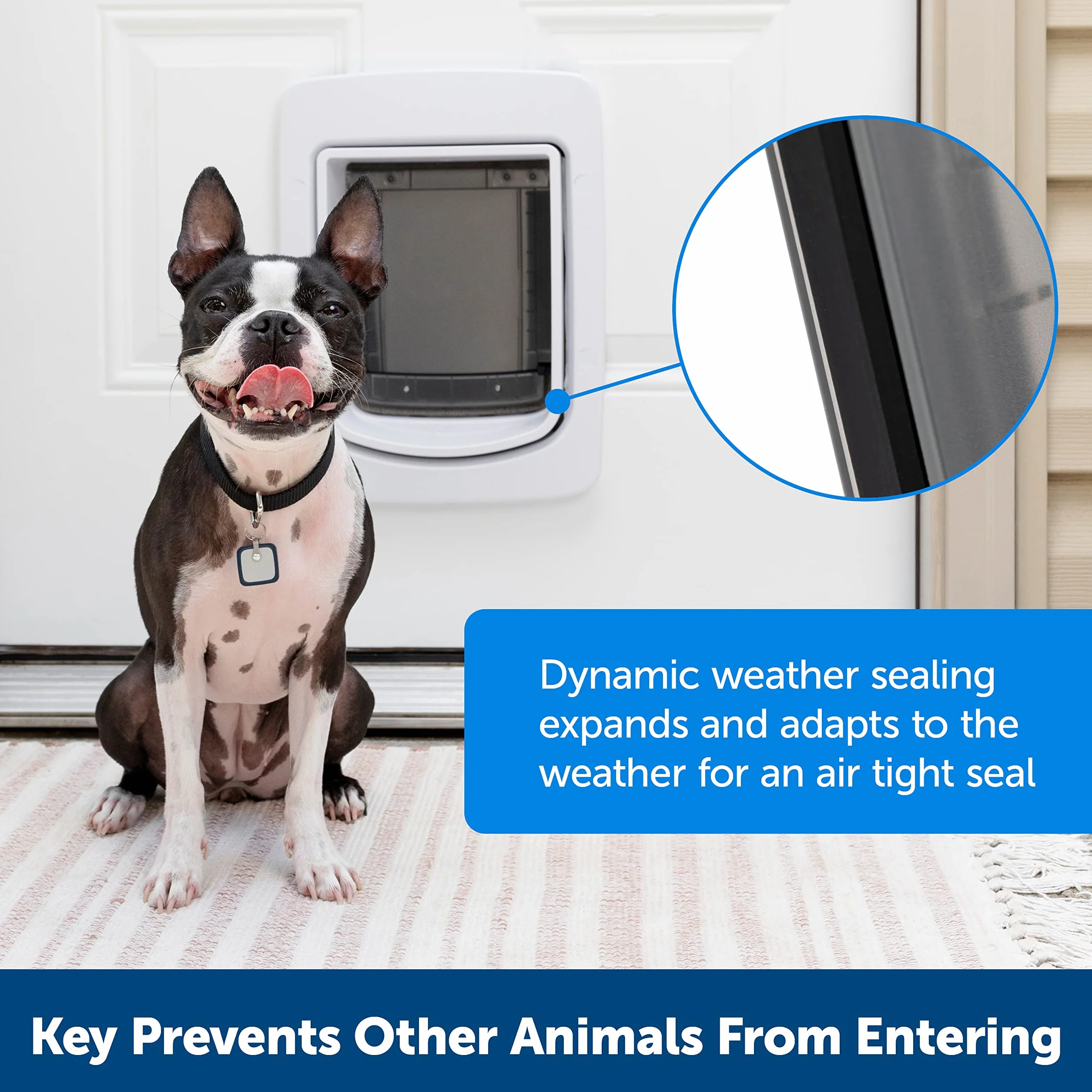 PetSafe SmartDoor, pies i kot, selektywne wejście/wyjście, drzwi aktywowane aplikacją na smartfonie, niestandardowe czasy, wiele zwierząt, duży rozmiar
