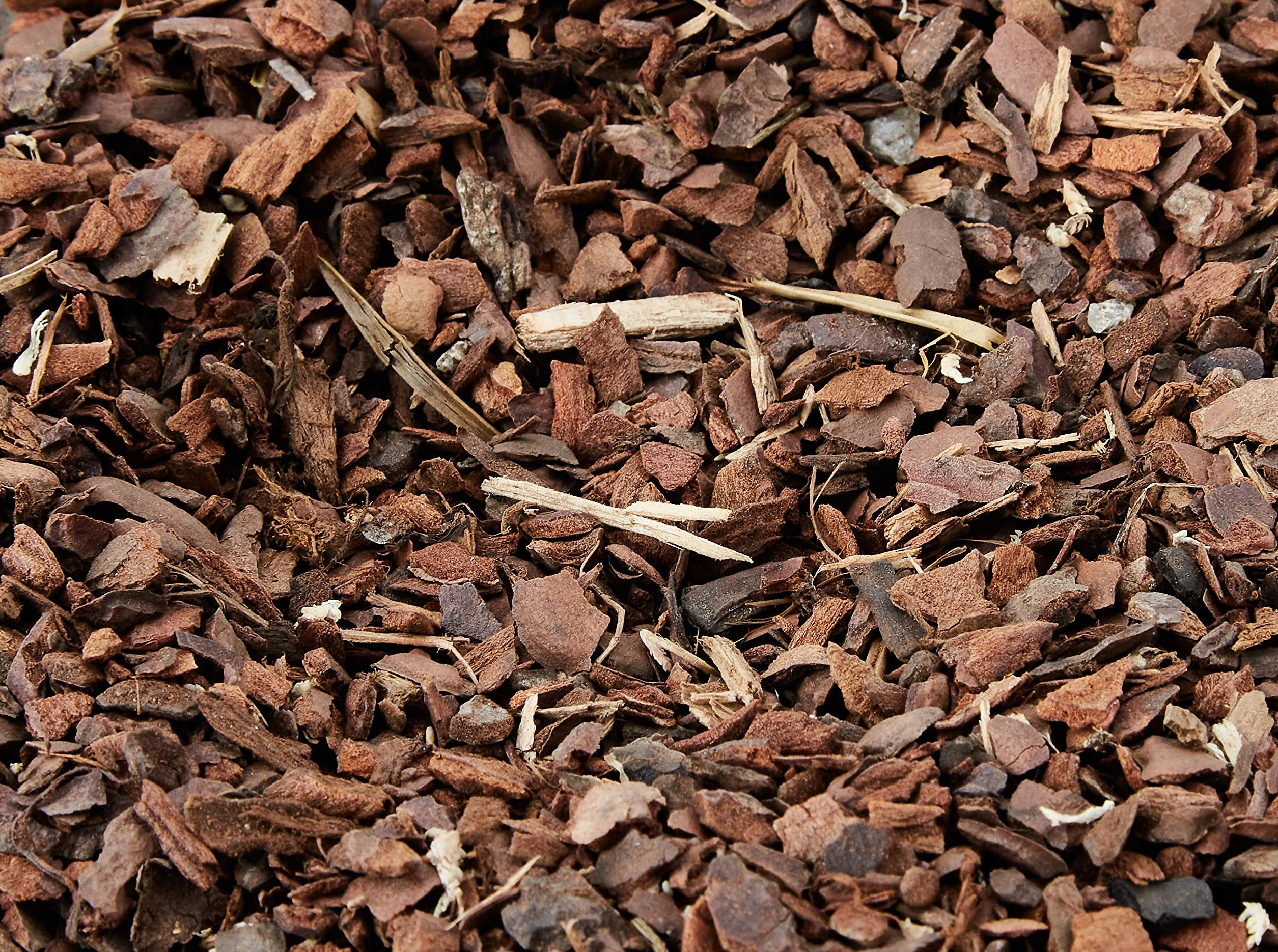 peat; tropikalne; mech; terrarium; grunt; podłoże