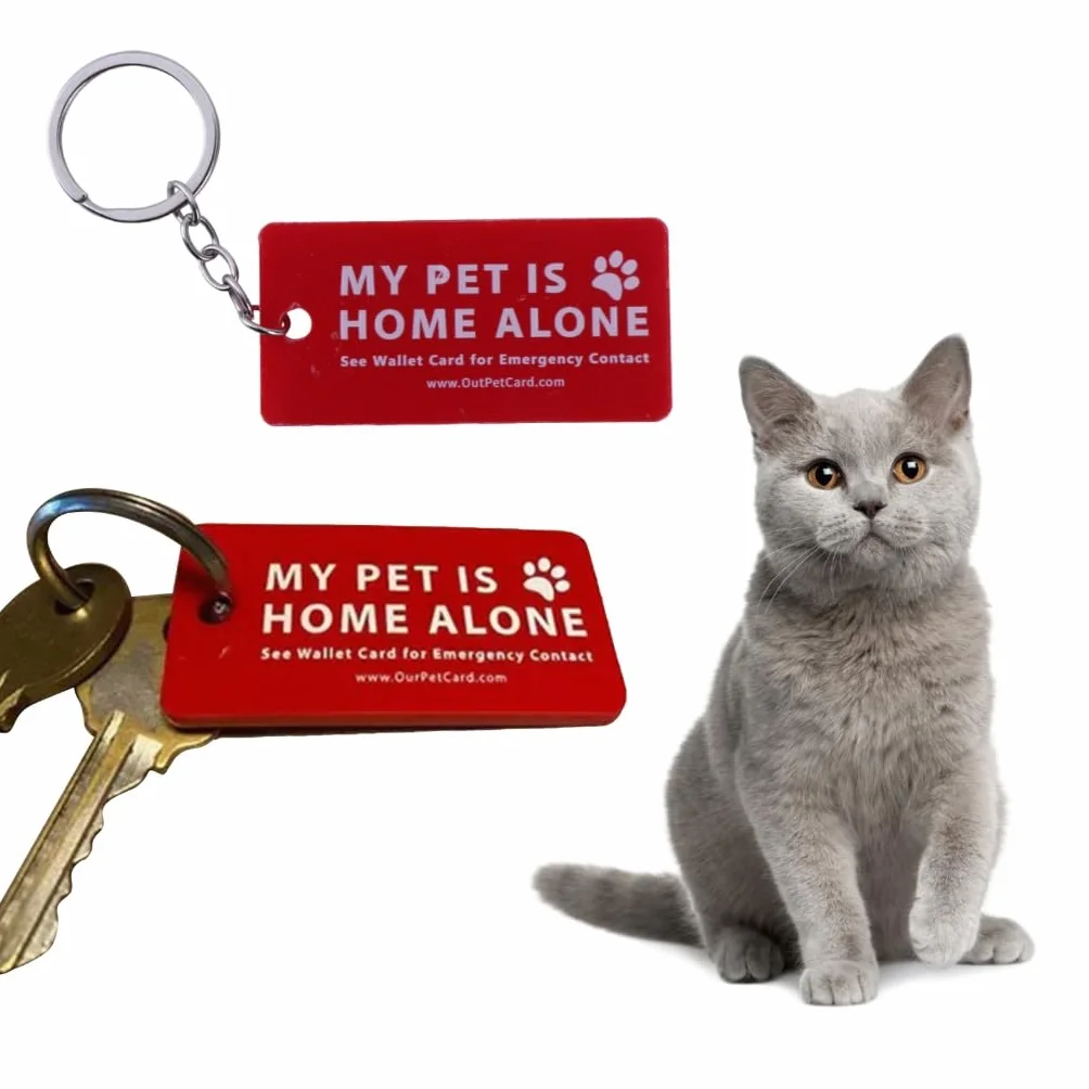 Dog are Home Alone Alert Card & Key Tags with Call Cards Pet Keychain