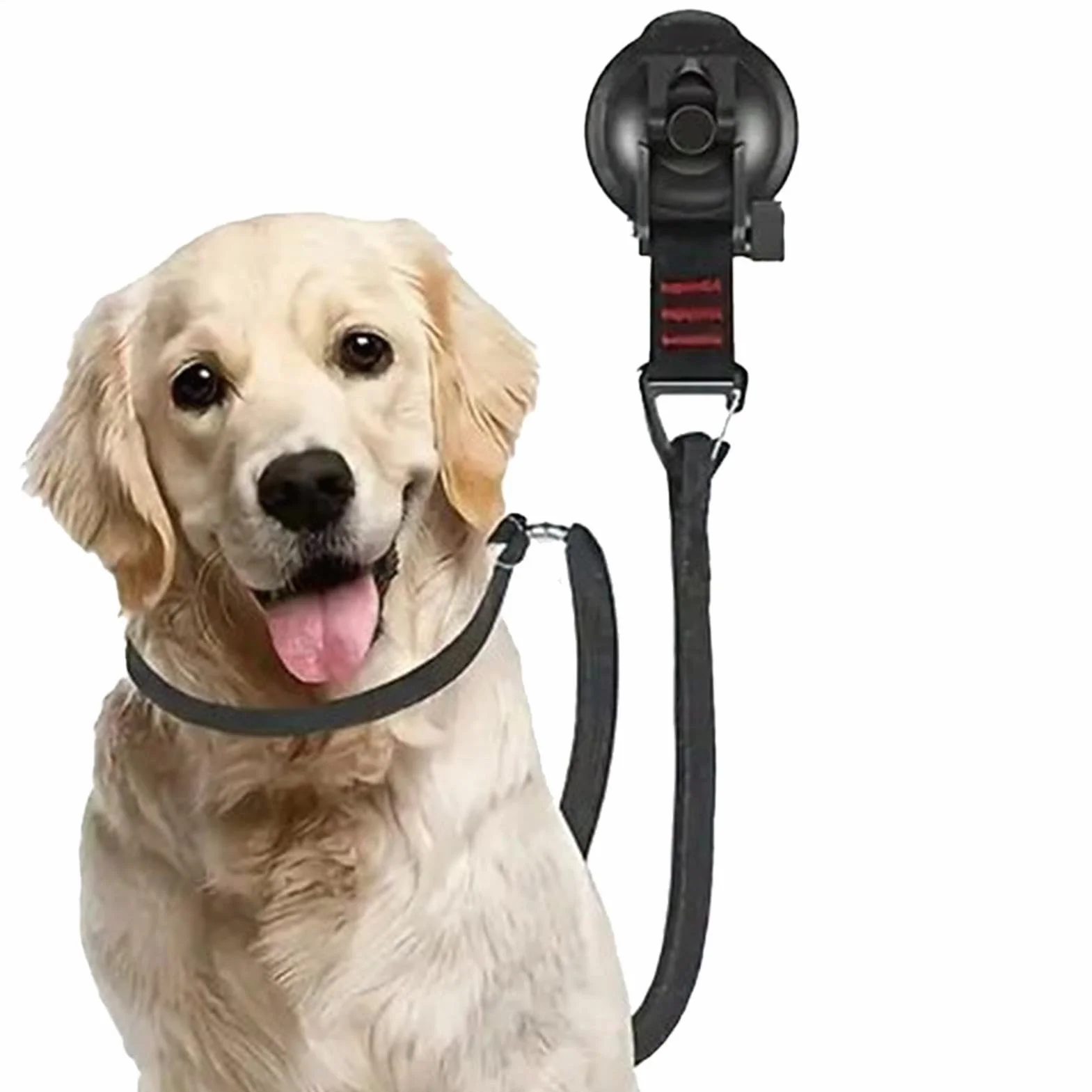 Pies Bathing Tether, Suction Cup Restraint, Grooming Safety Strap, regulowany design bez poślizgu, dla małych średnich psów, lalek, kąpieli, pod prysznic, pielęgnacja domu, kontrola czyszczenia